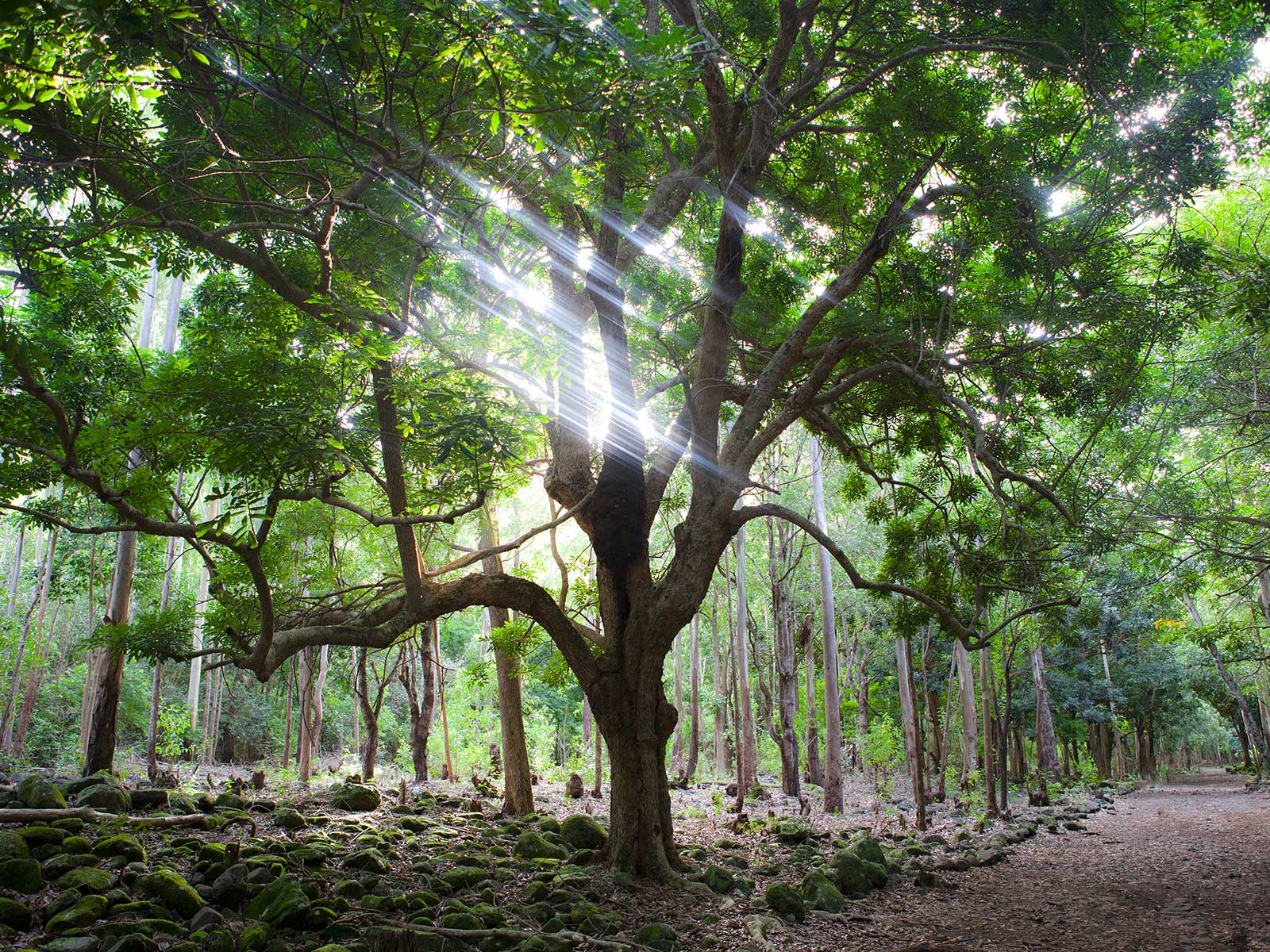Parque Nacional Gargantas del Río Negro 2