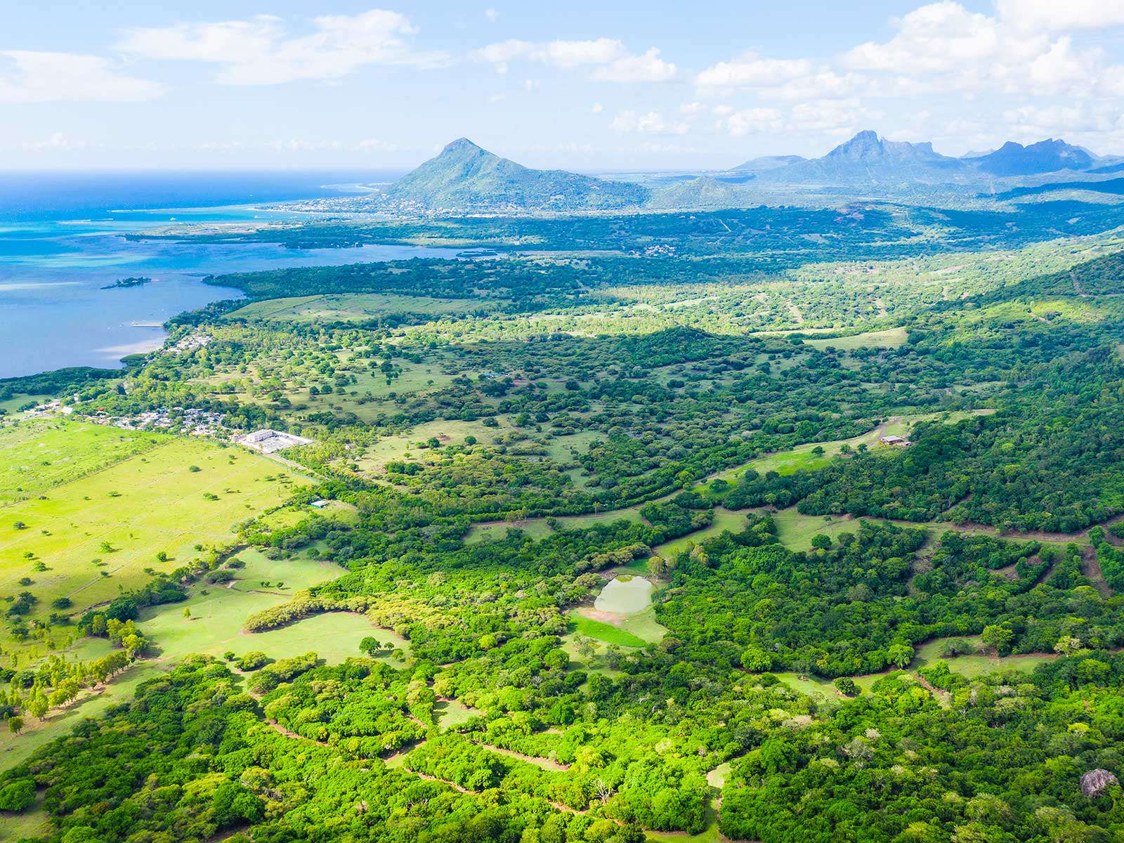 Reserva Forestal Ebony