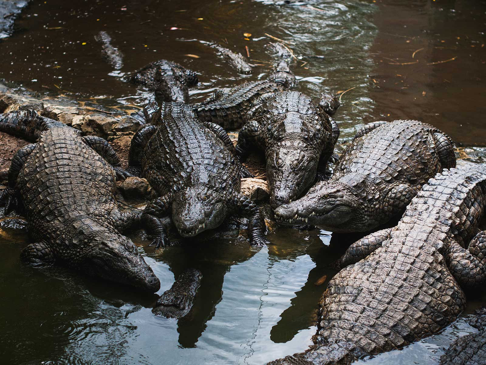 Parque Natural La Vanille 1
