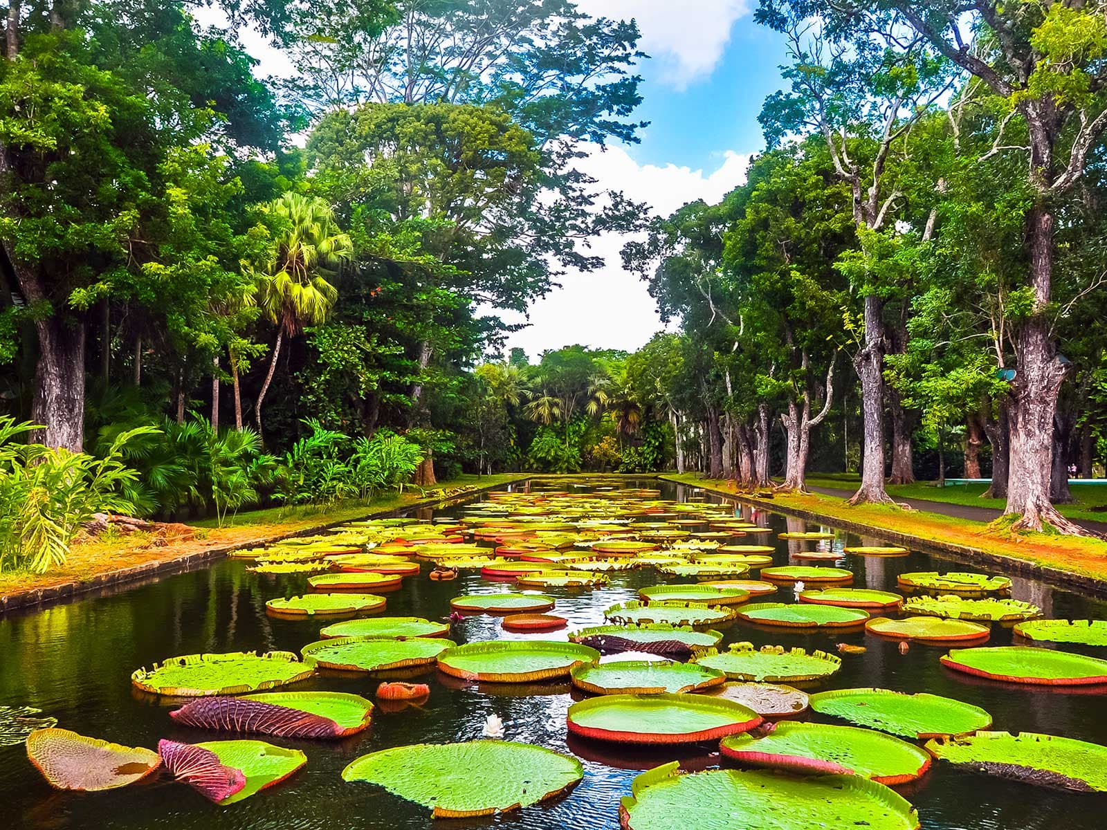 Jardín Botánico Sir Seewoosagur Ramgoolam