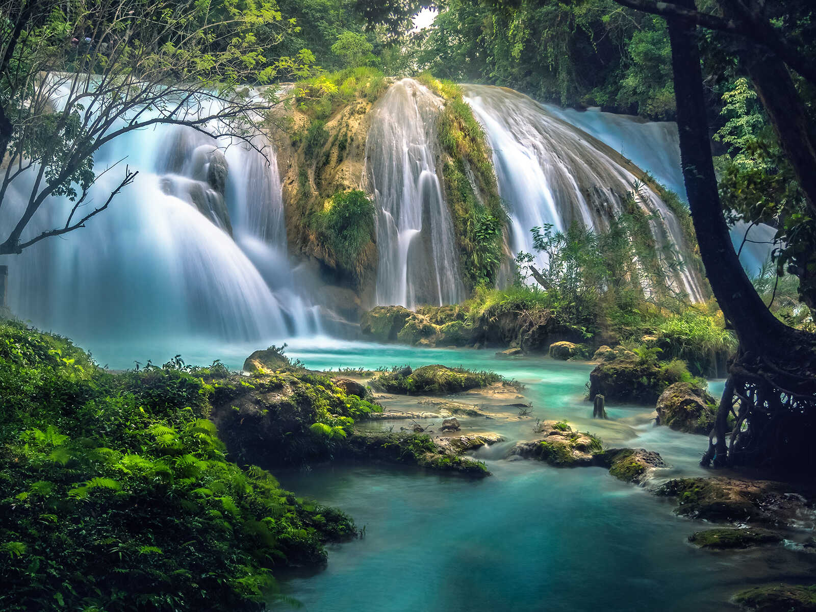 Cascadas de Agua Azul