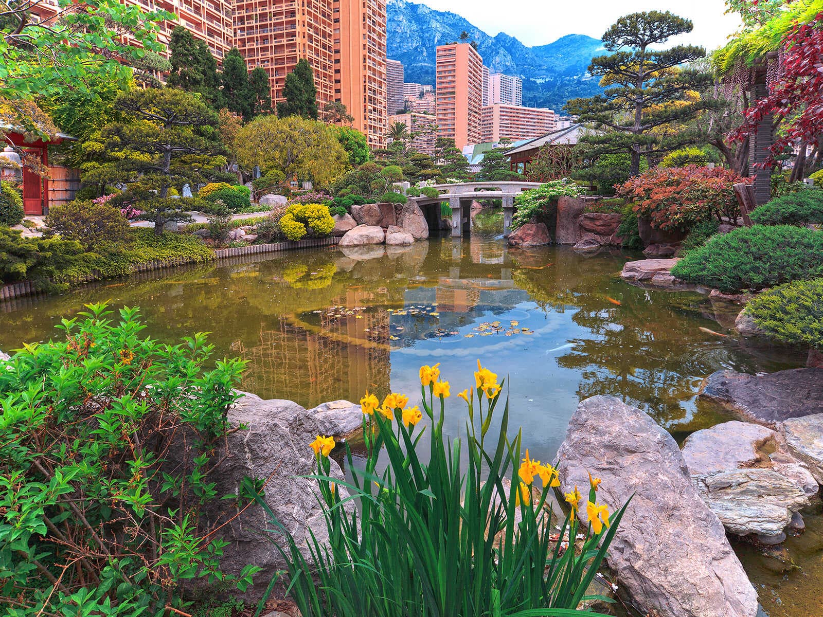 Jardín Exótico de Mónaco 1