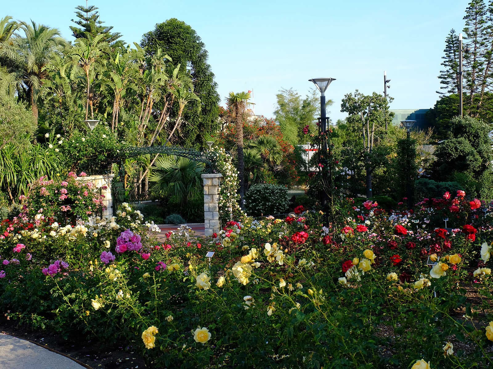 El Jardín de Rosas Princesa Grace