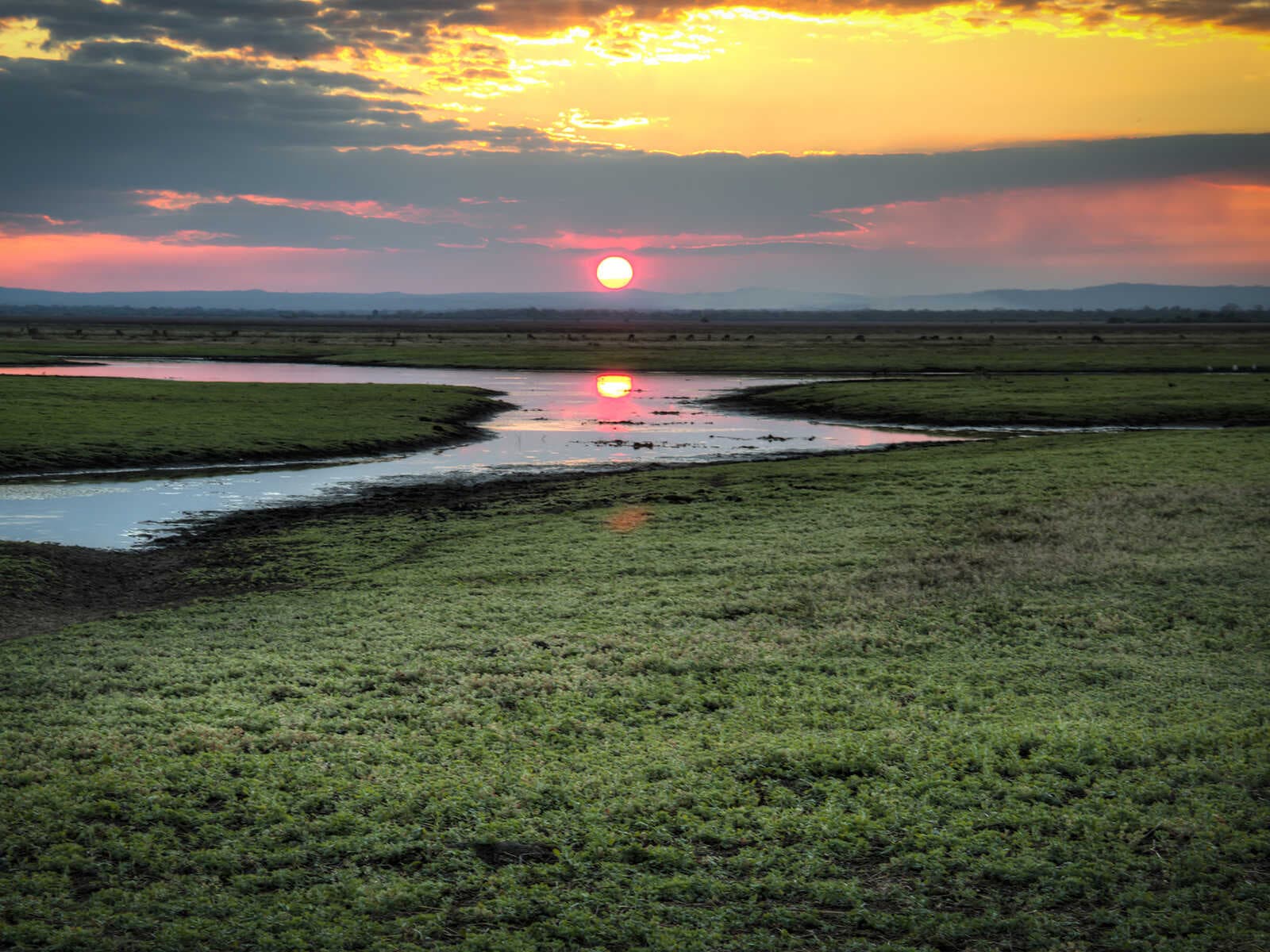 Parque Nacional de Gorongosa 1