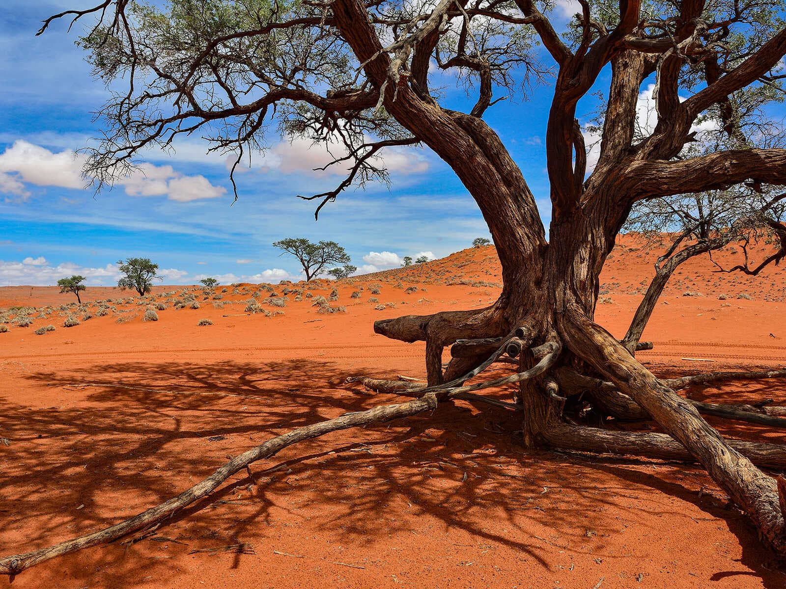 Reserva Natural NamibRand 1