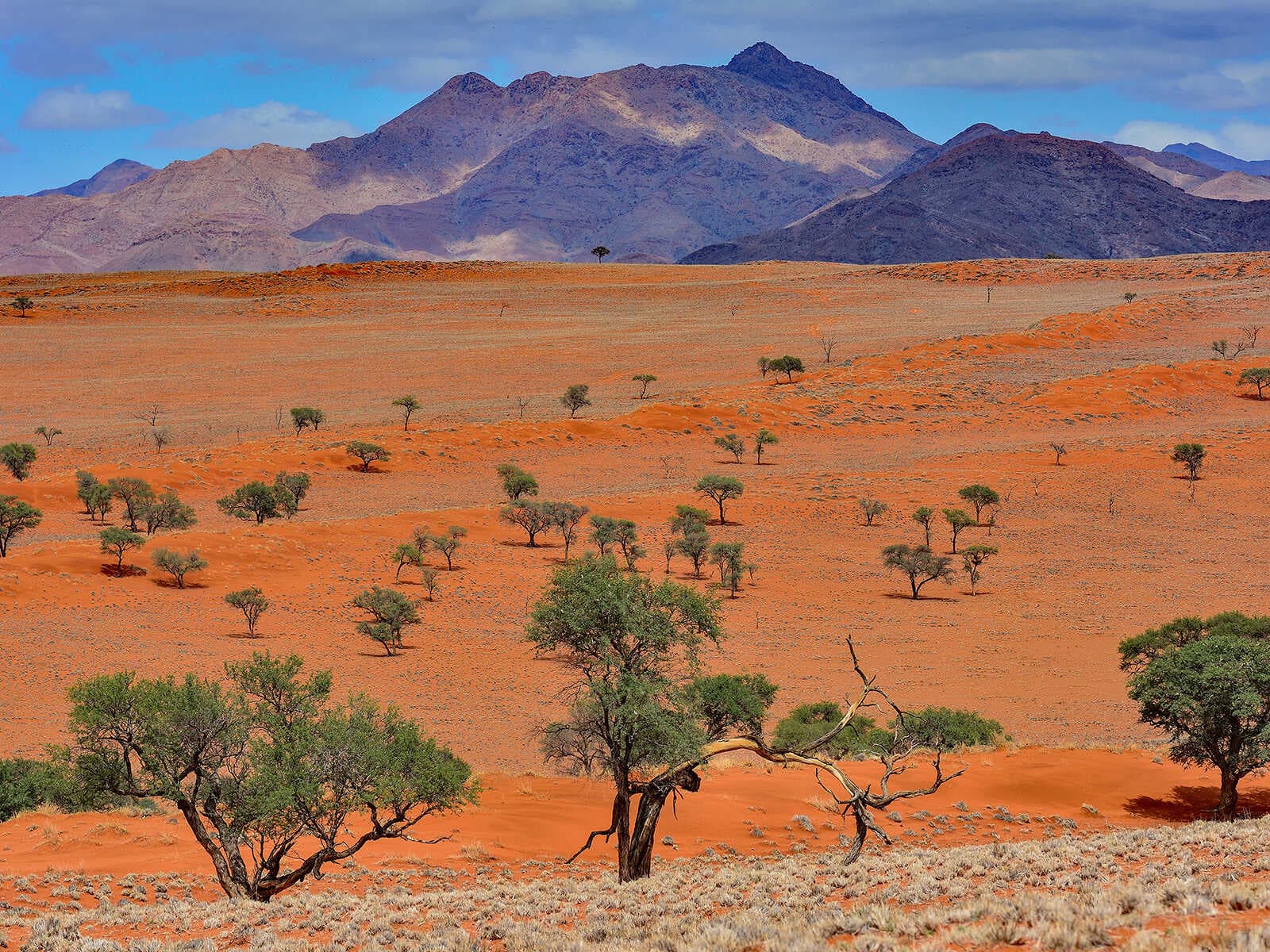 Reserva Natural NamibRand