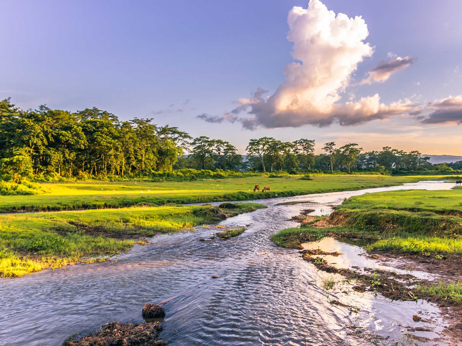 Parque Nacional Chitwan