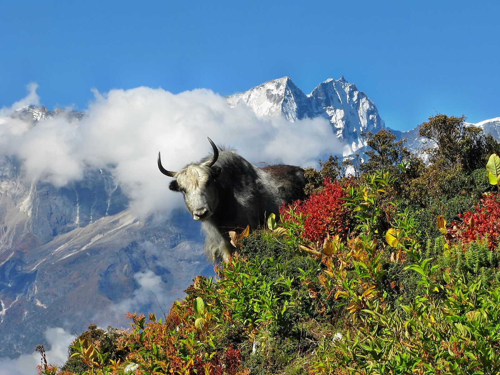Parque Nacional Sagarmatha