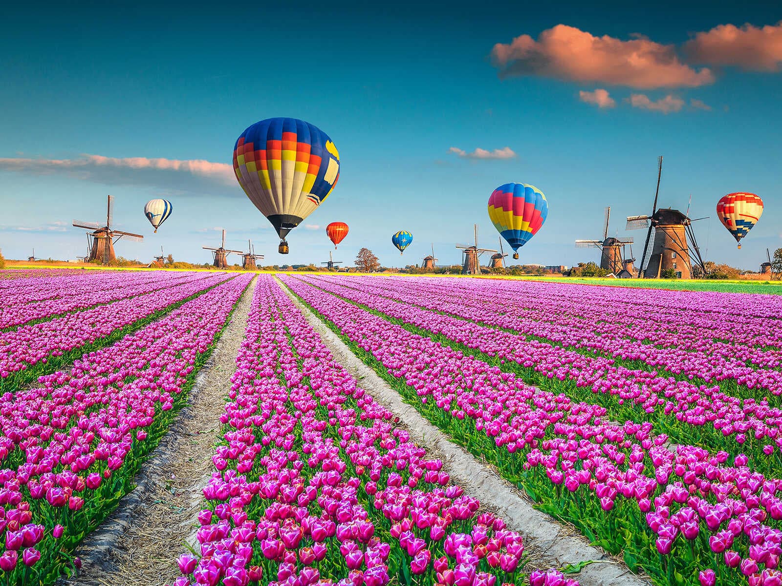 Werelderfgoed Kinderdijk 1