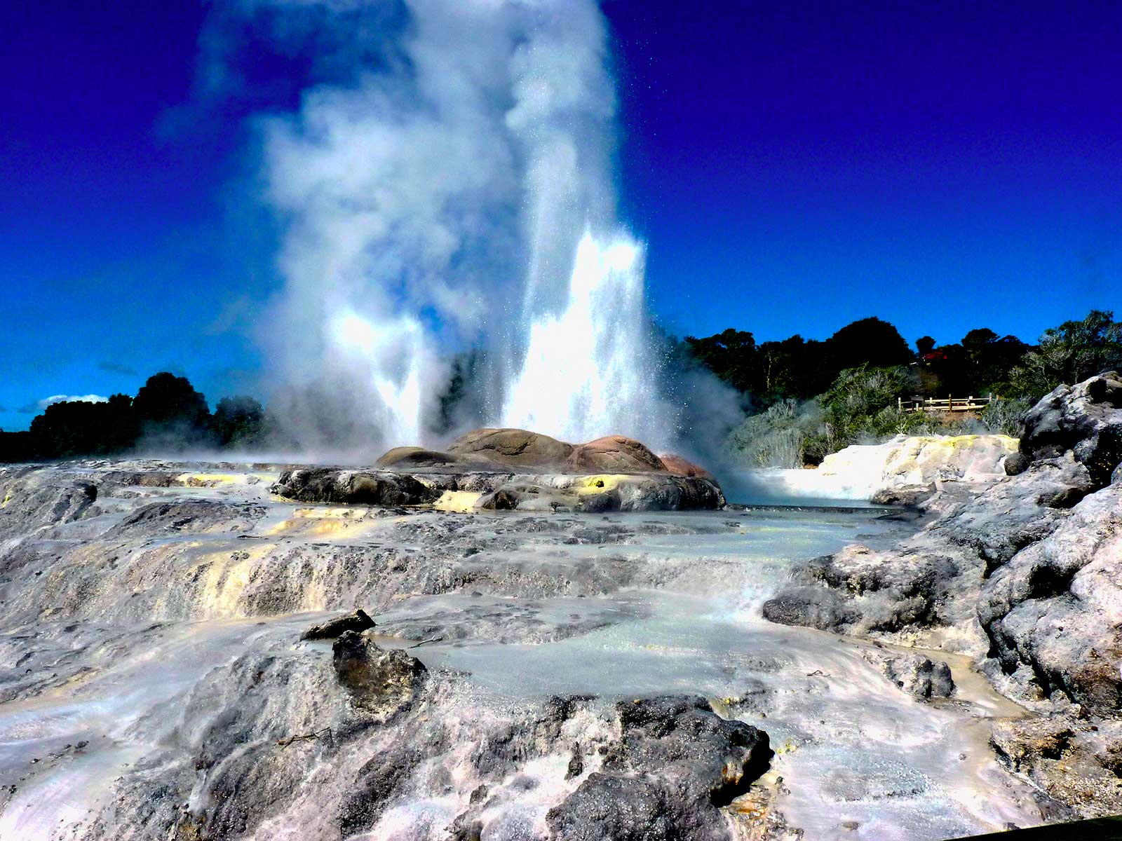 Rotorua