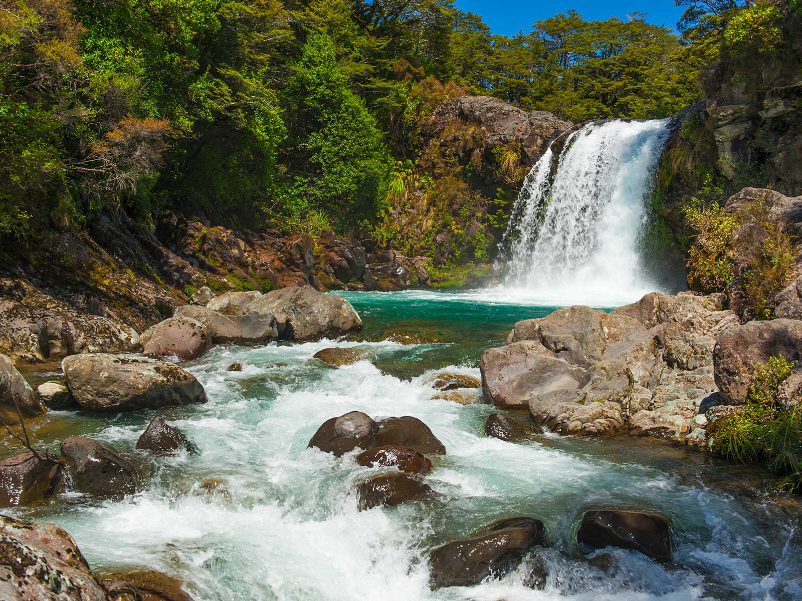 Tongariro Parque Nacional 1