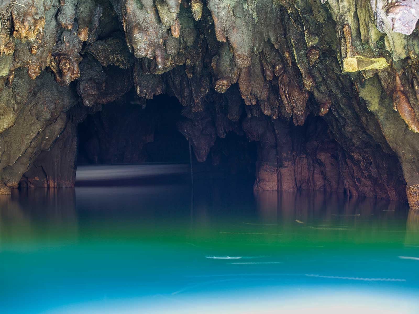 Waitomo Glowworm Caves