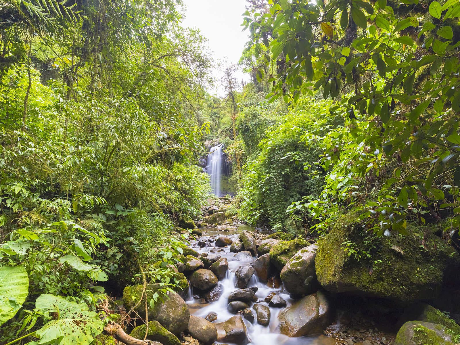 The Lost Waterfalls 1