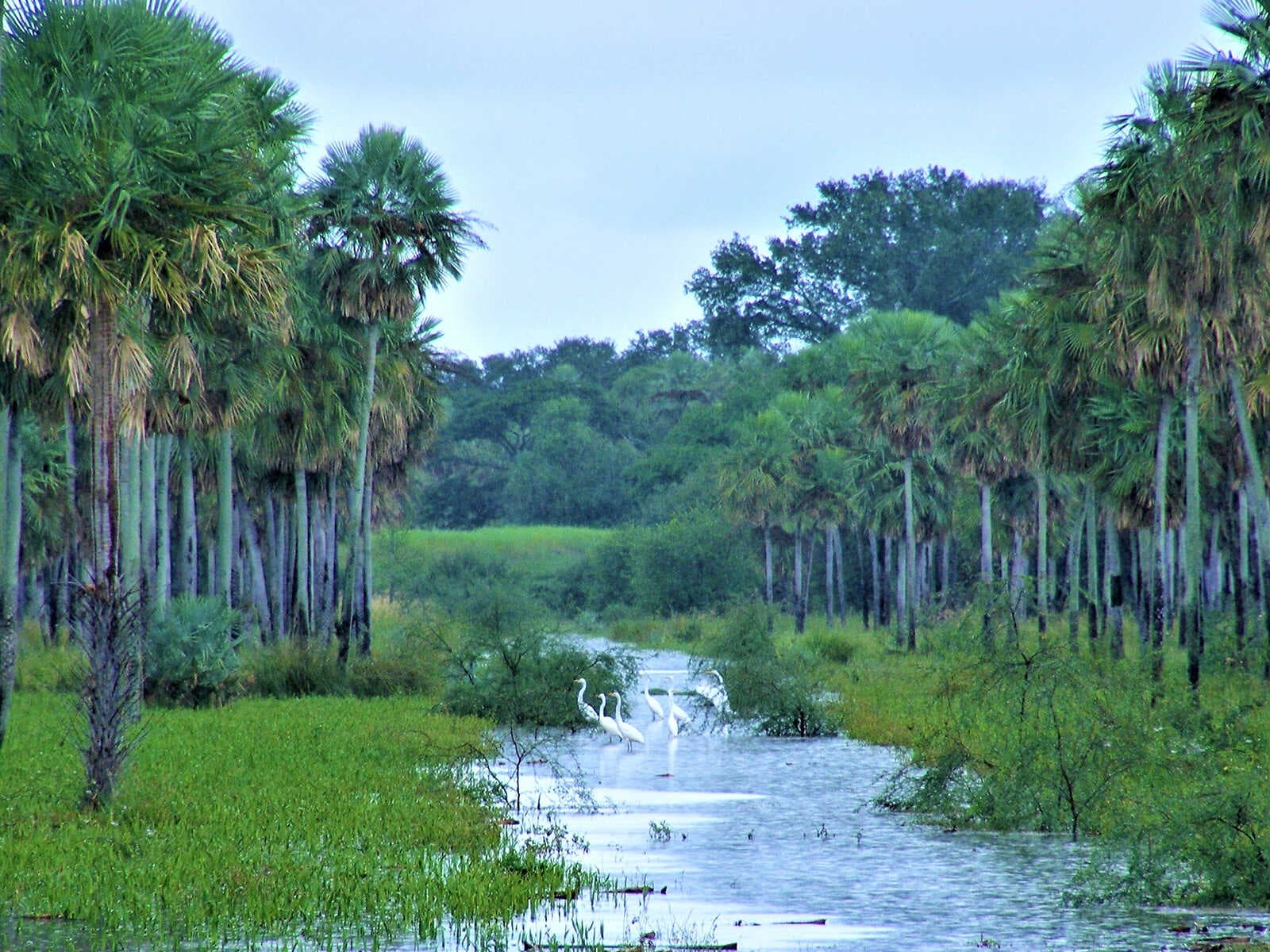 Defensores del Chaco Parque Nacional