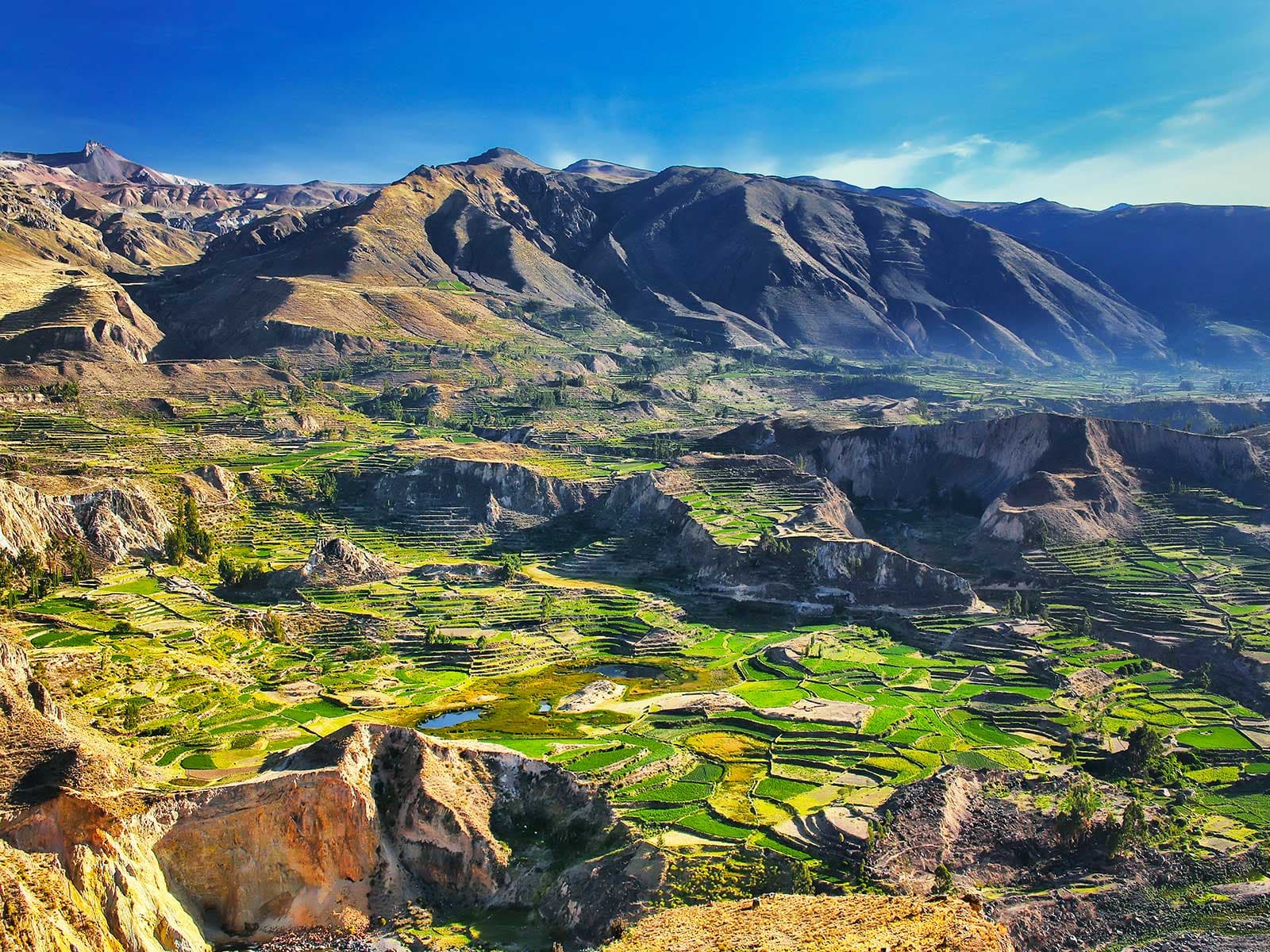 Colca Canyon