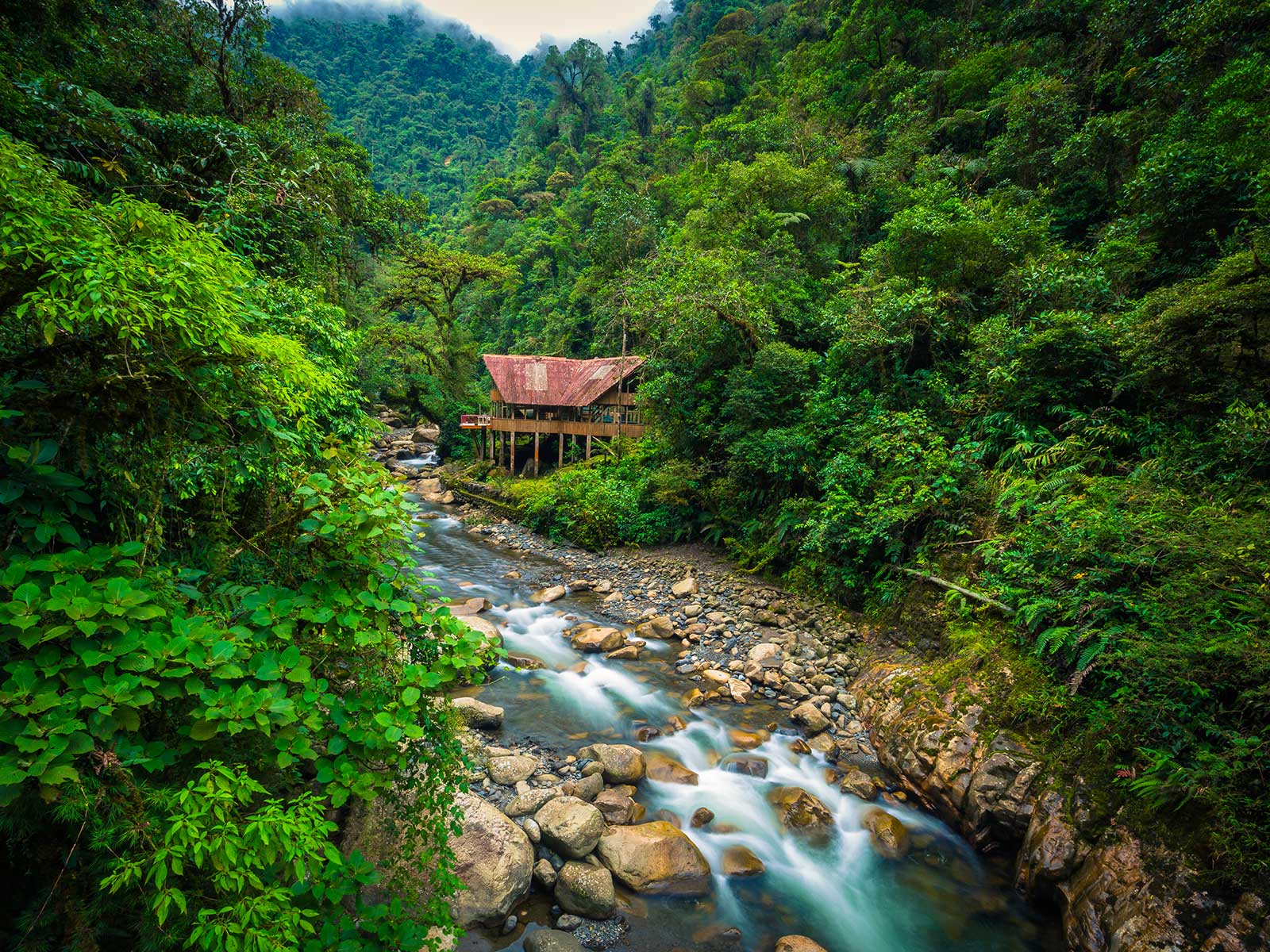 Manu Parque Nacional