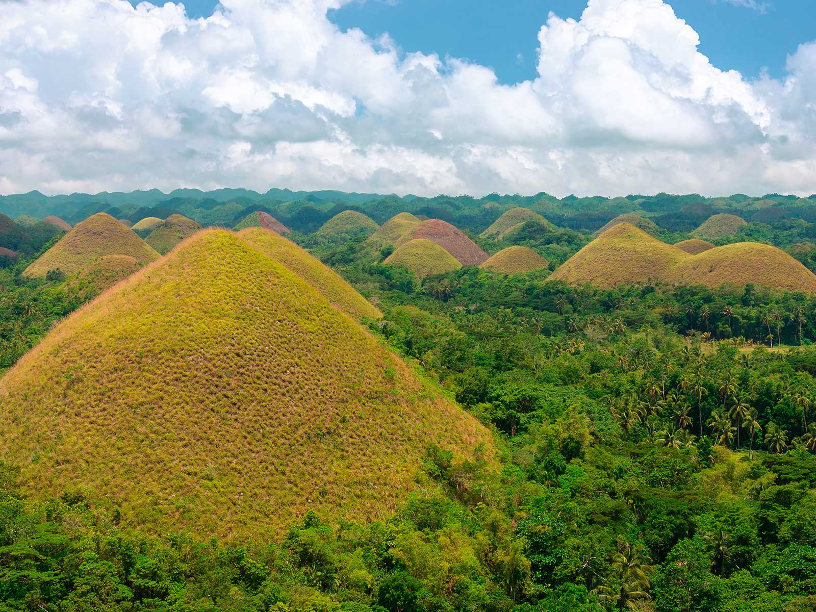 Chocolate Hills Adventure Parque