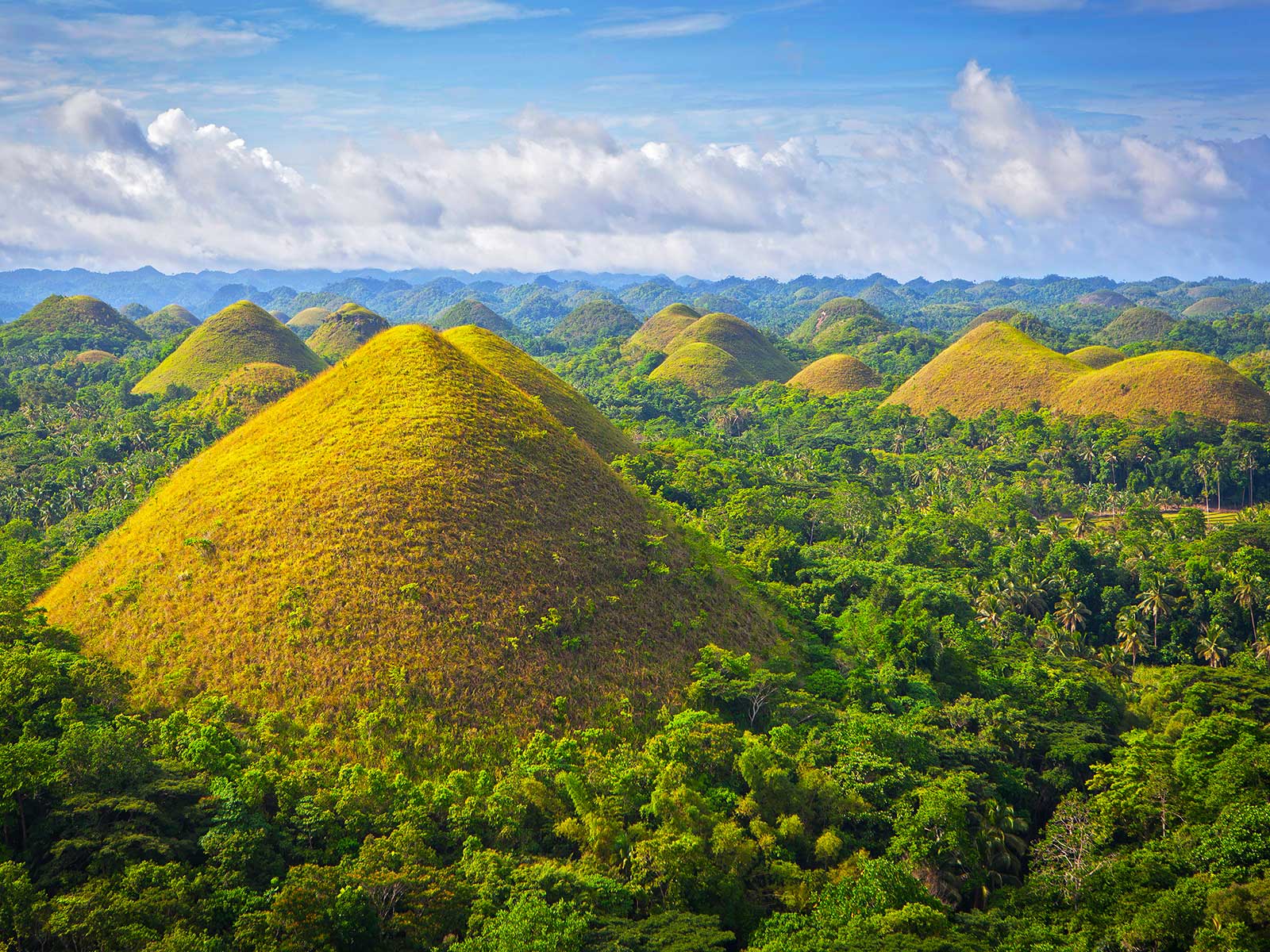 Chocolate Hills