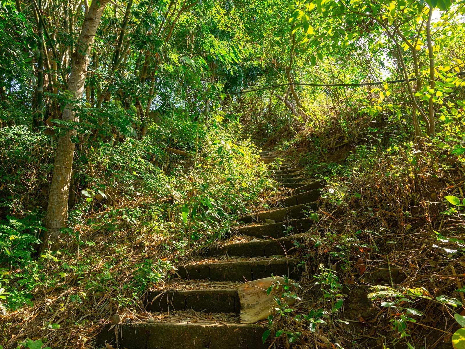 Walkway to the Old Volcano and Stations of the Cross