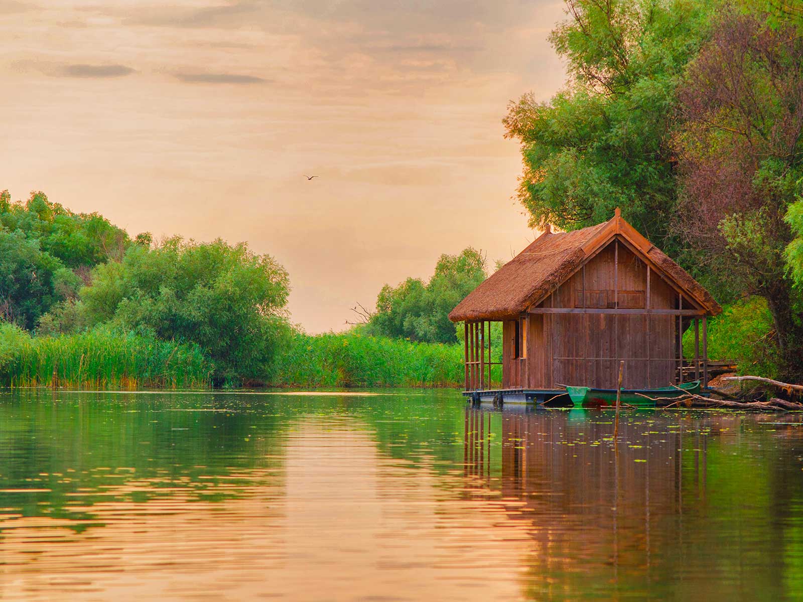 Danube Delta