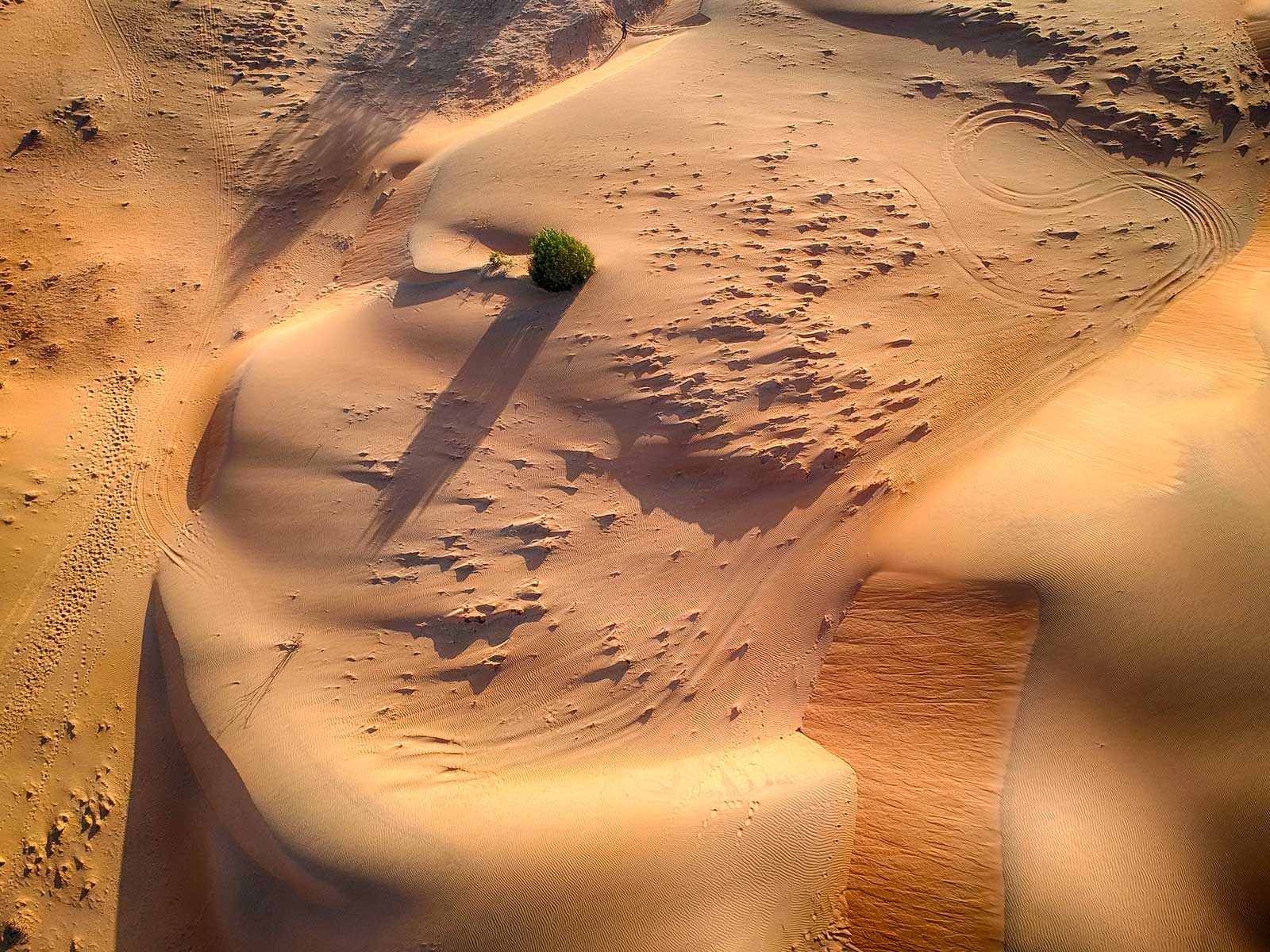 Lompoul Desert