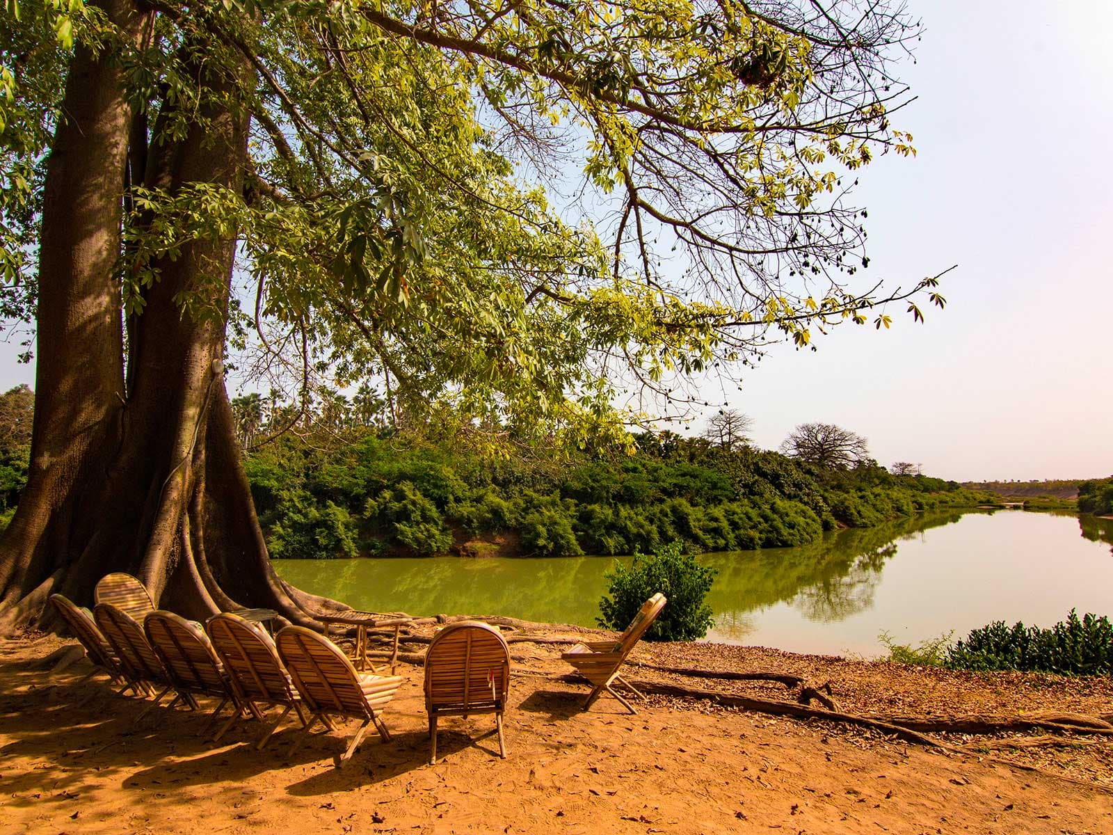 Niokolo-Koba Parque Nacional 1