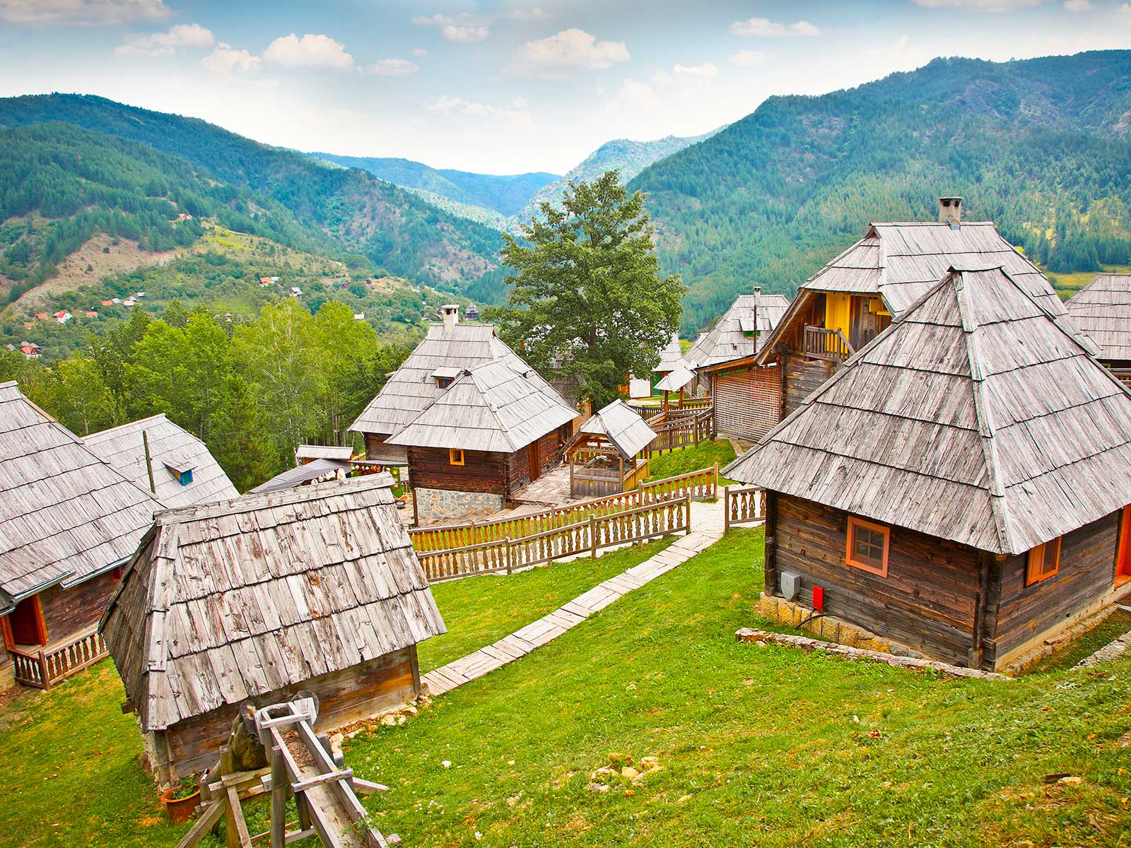 Mokra gora