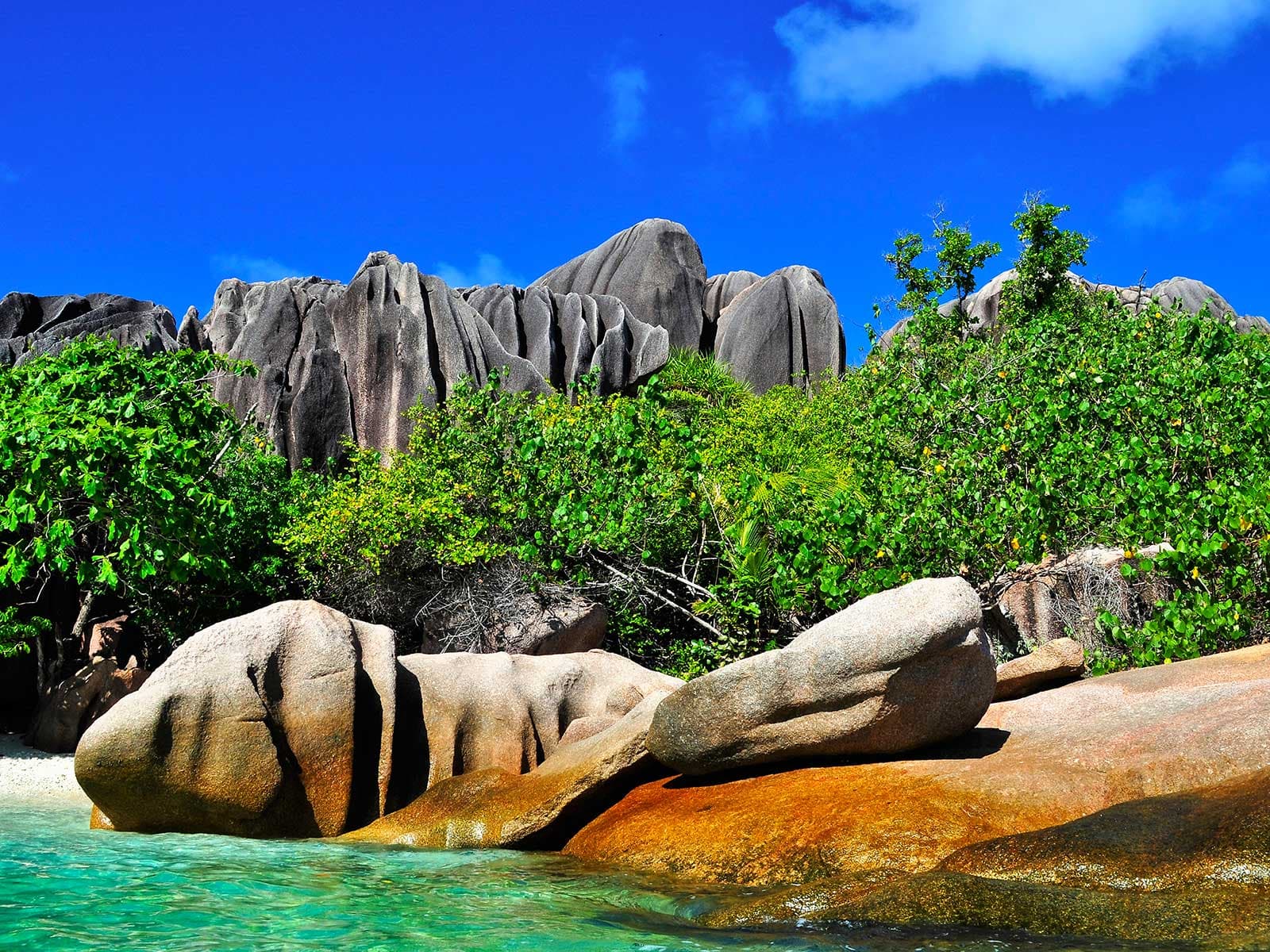 Cousine Isla Special Reserve