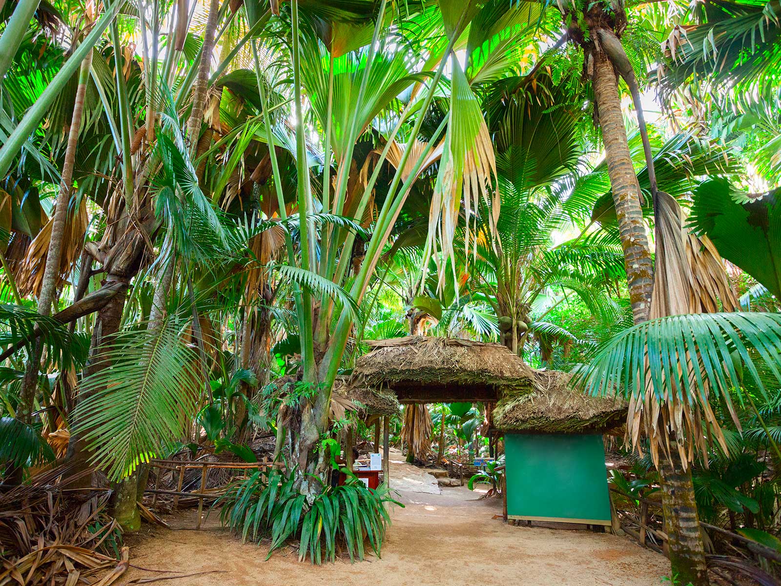 Vallée de Mai Parque Nacional