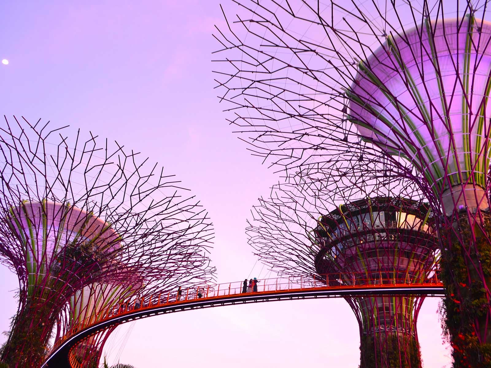 Gardens by the Bay 1