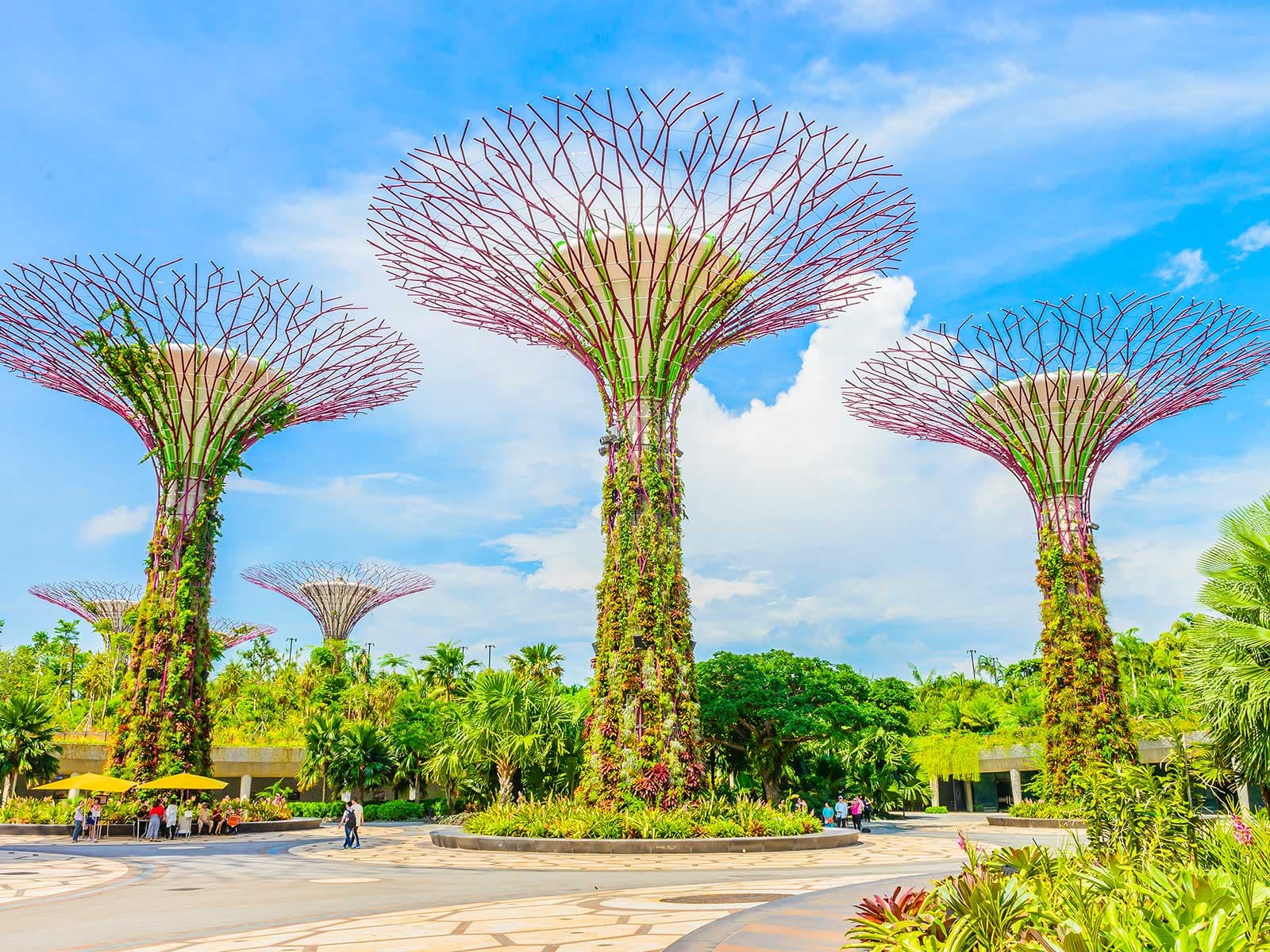Gardens by the Bay