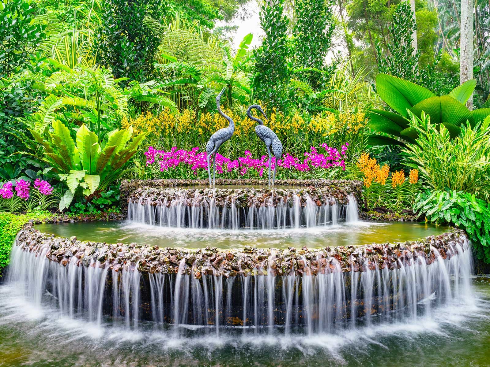 Singapore Botanic Jardín 1