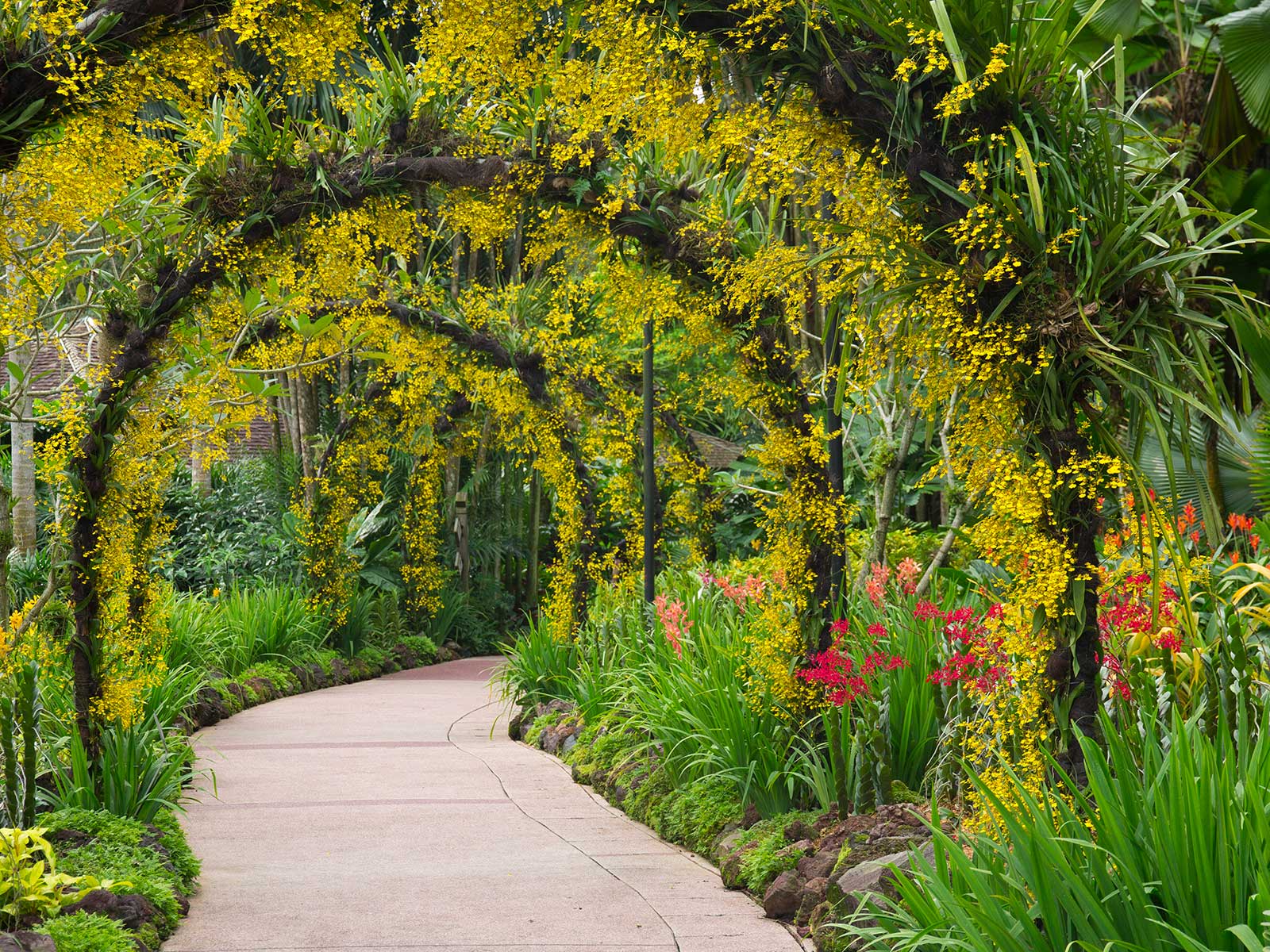 Singapore Botanic Jardín