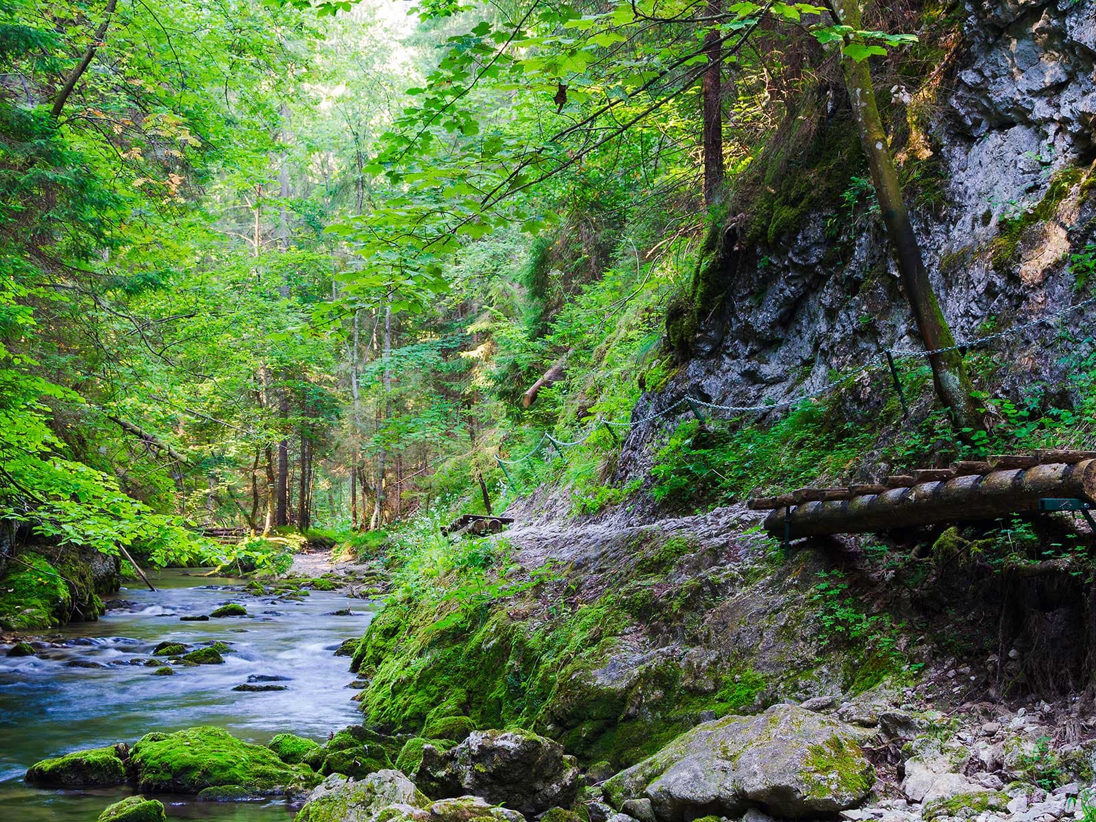 Slovak Paradise Parque Nacional 1