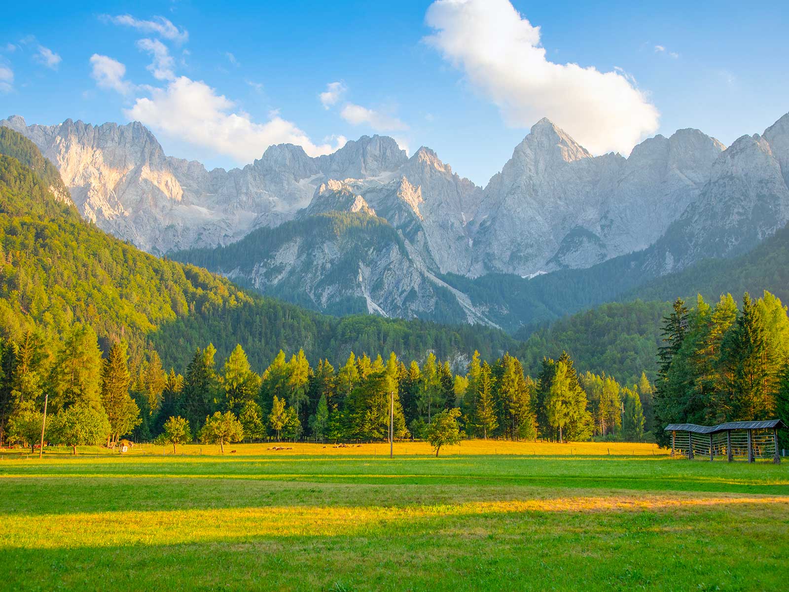 Kranjska Gora 1