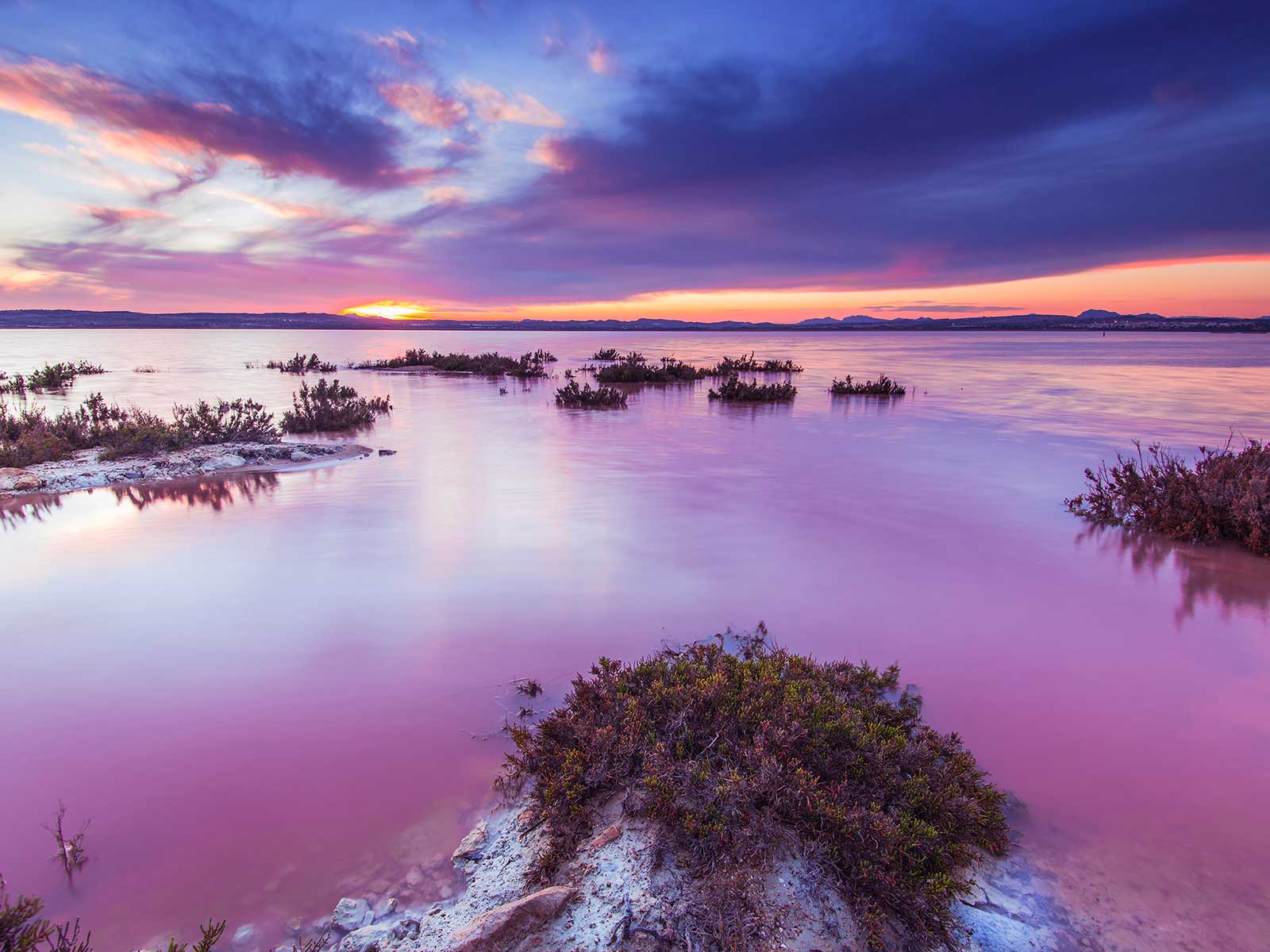Las Salinas de Torrevieja
