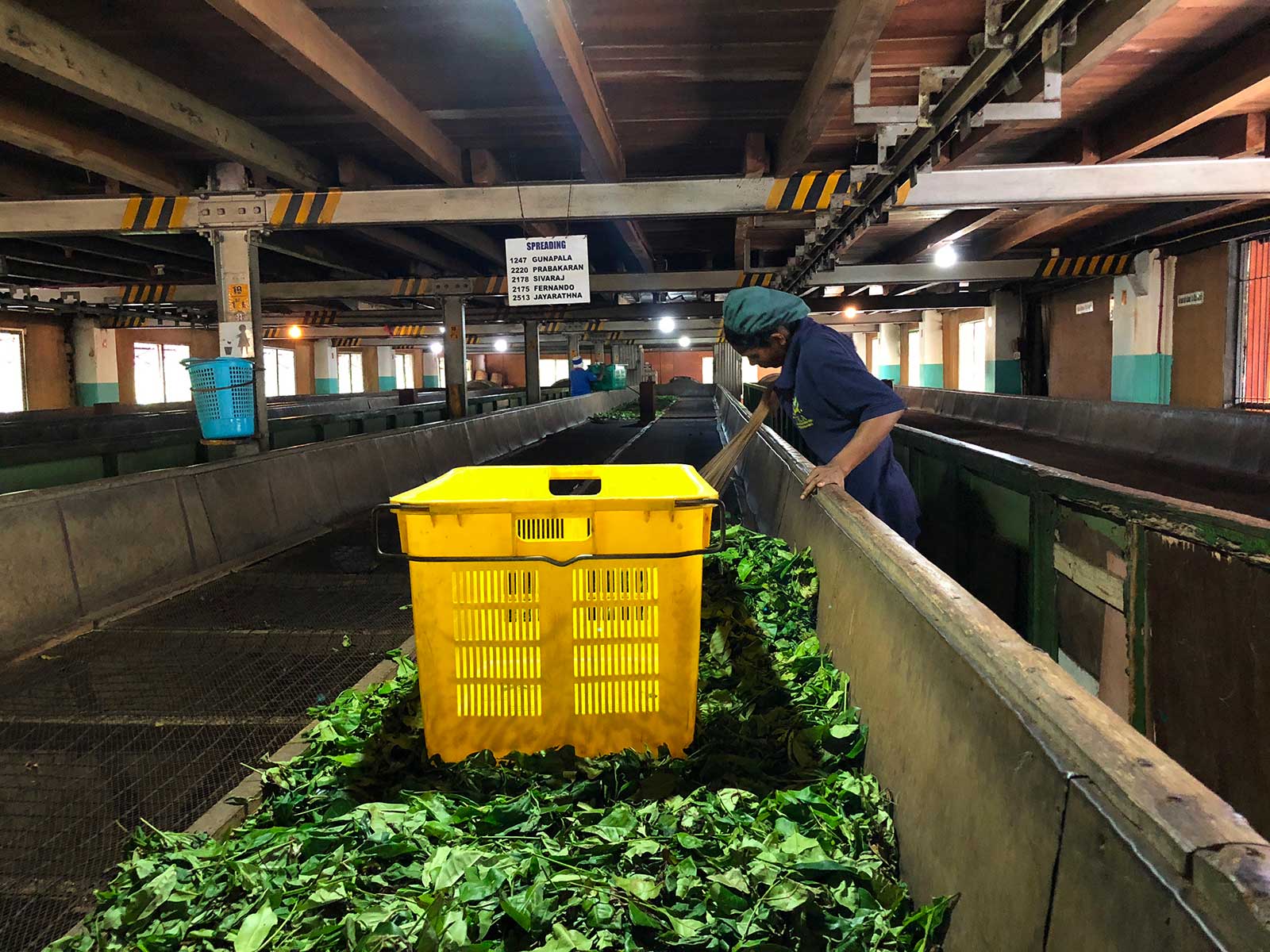 Geragama Tea Factory