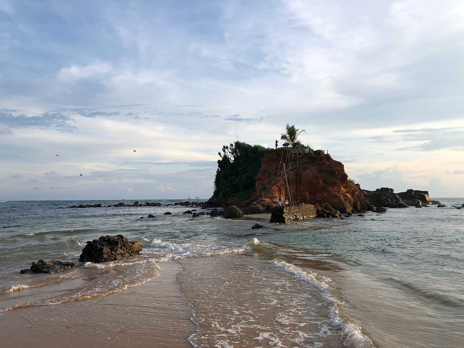 Parrot Rock Puente 3