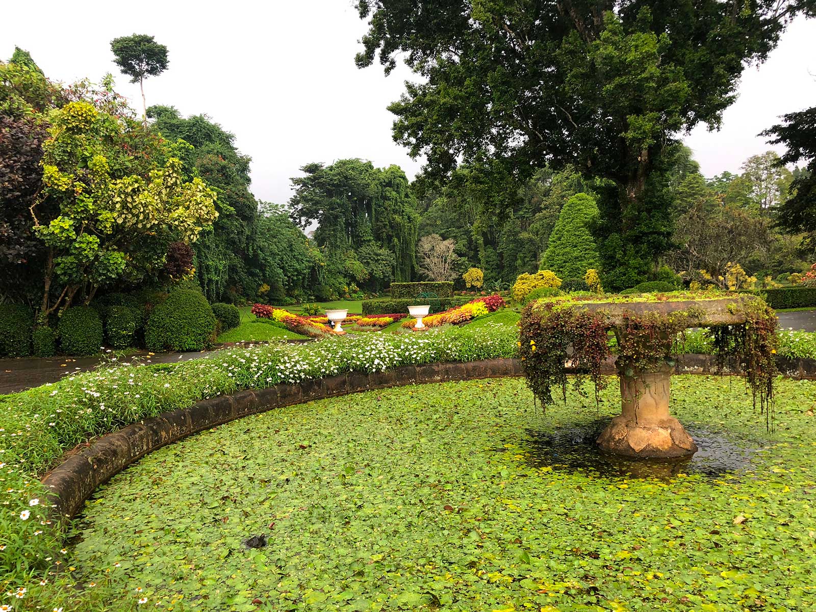 Royal Botanic Gardens 1