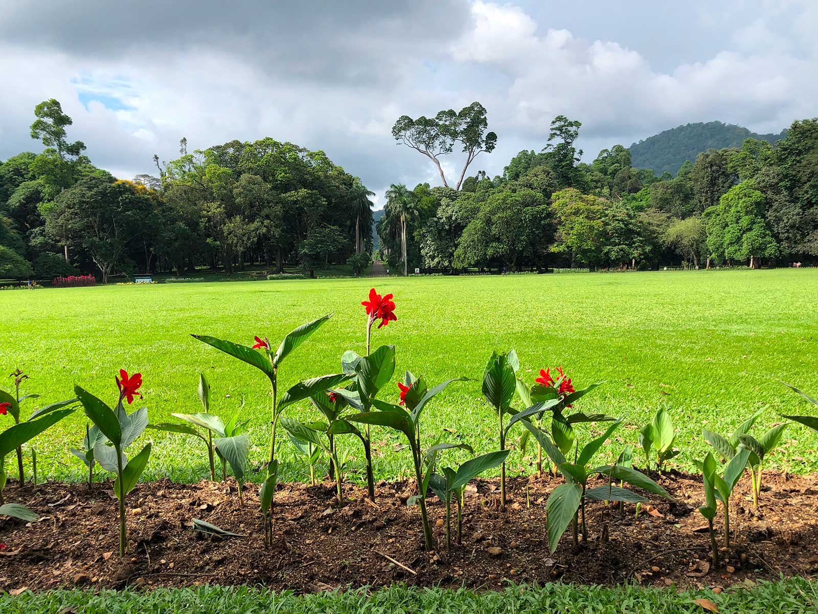 Royal Botanic Gardens