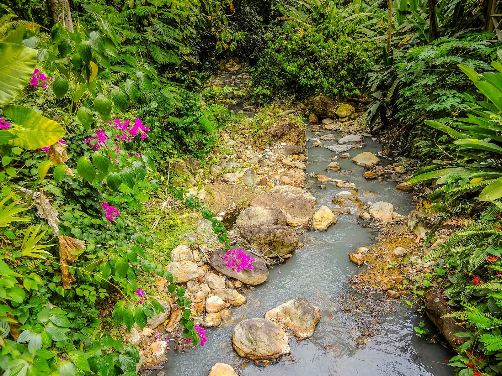 Diamond Botanical Gardens