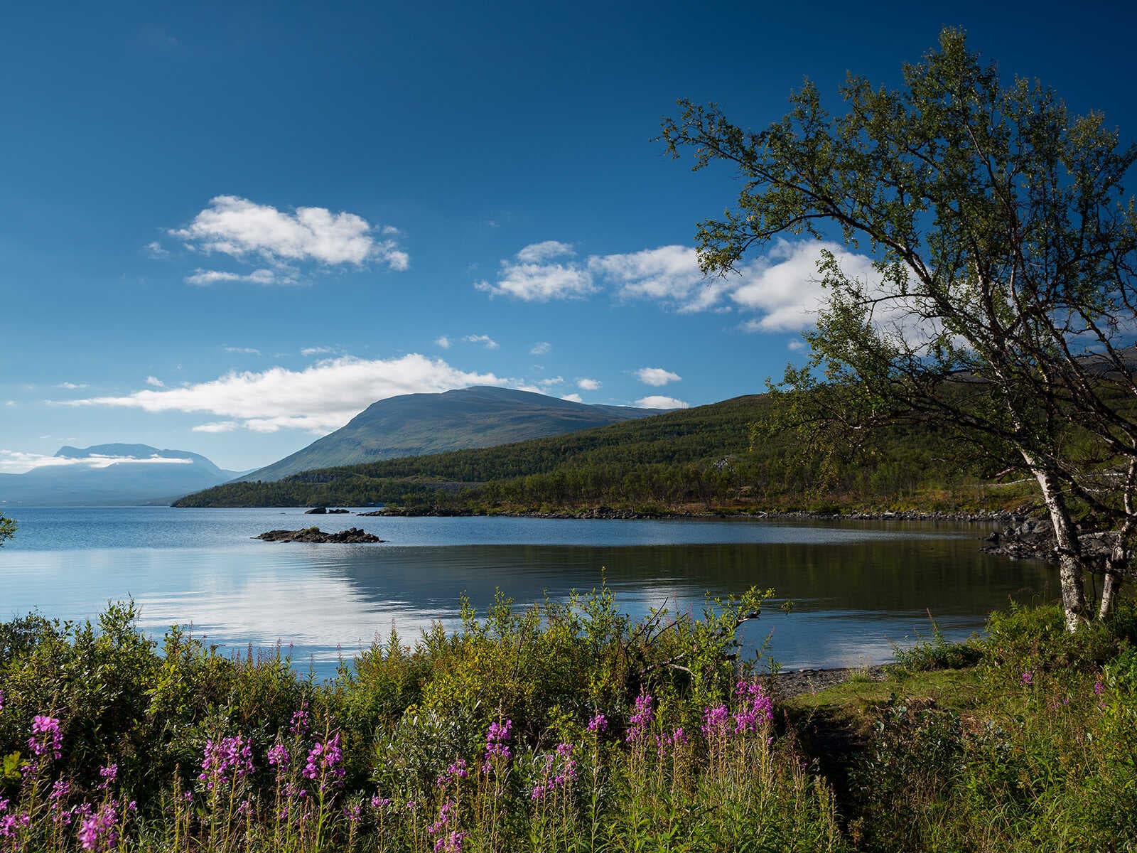 Abisko Parque Nacional 3