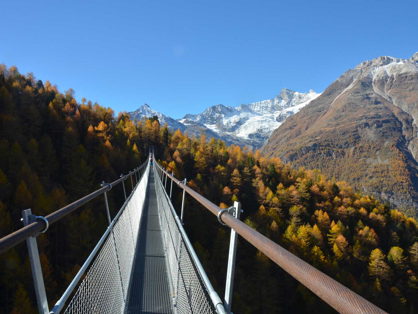 Charles Kuonen Suspension Puente 1