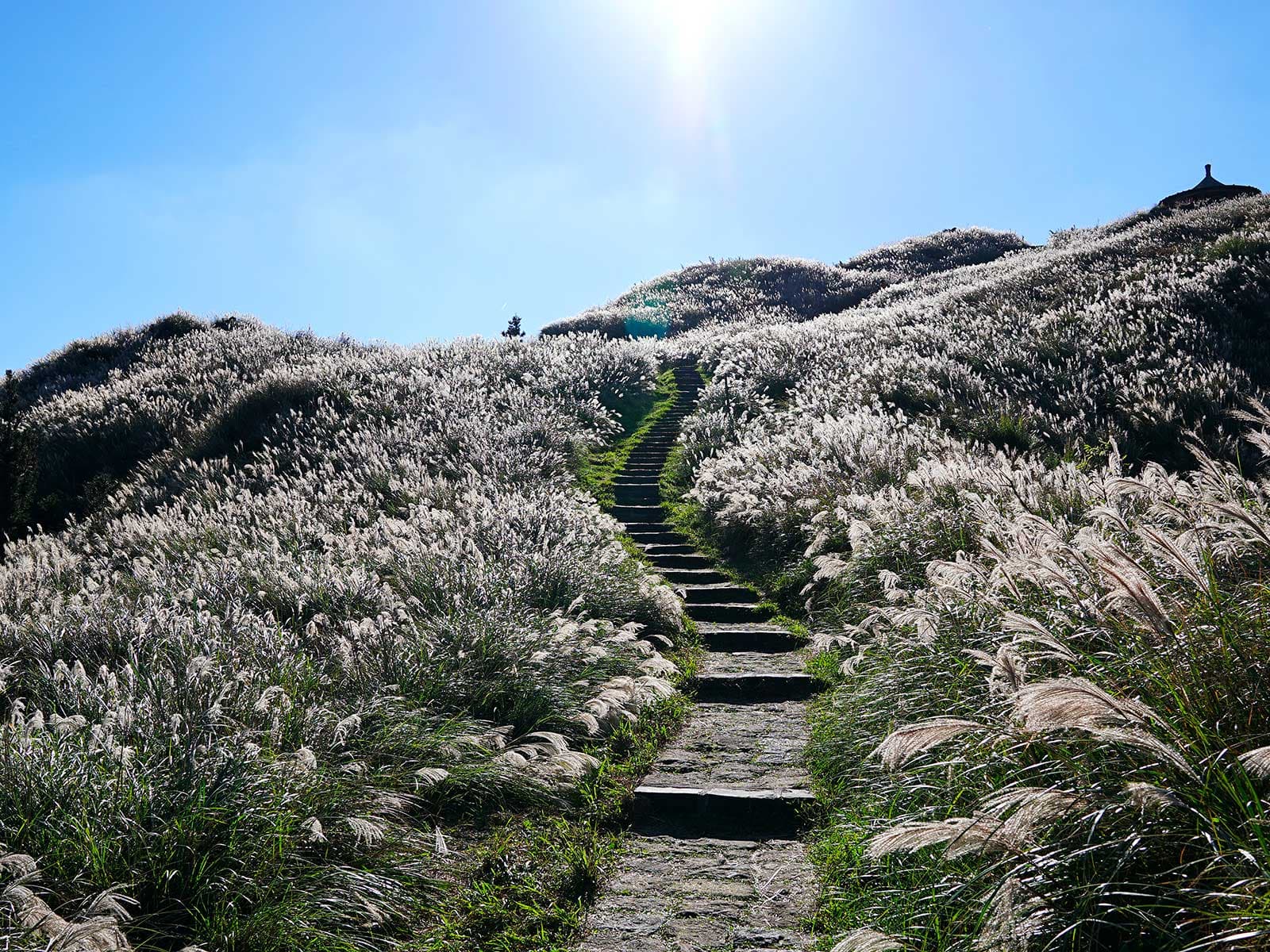 Yangmingshan Parque Nacional 2