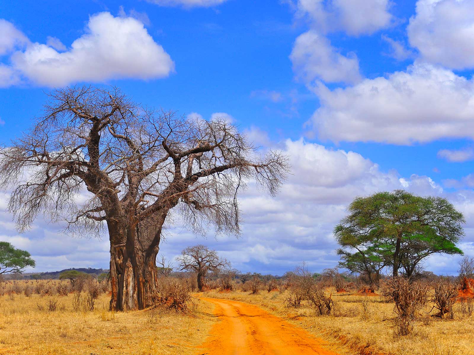 Katavi Parque Nacional