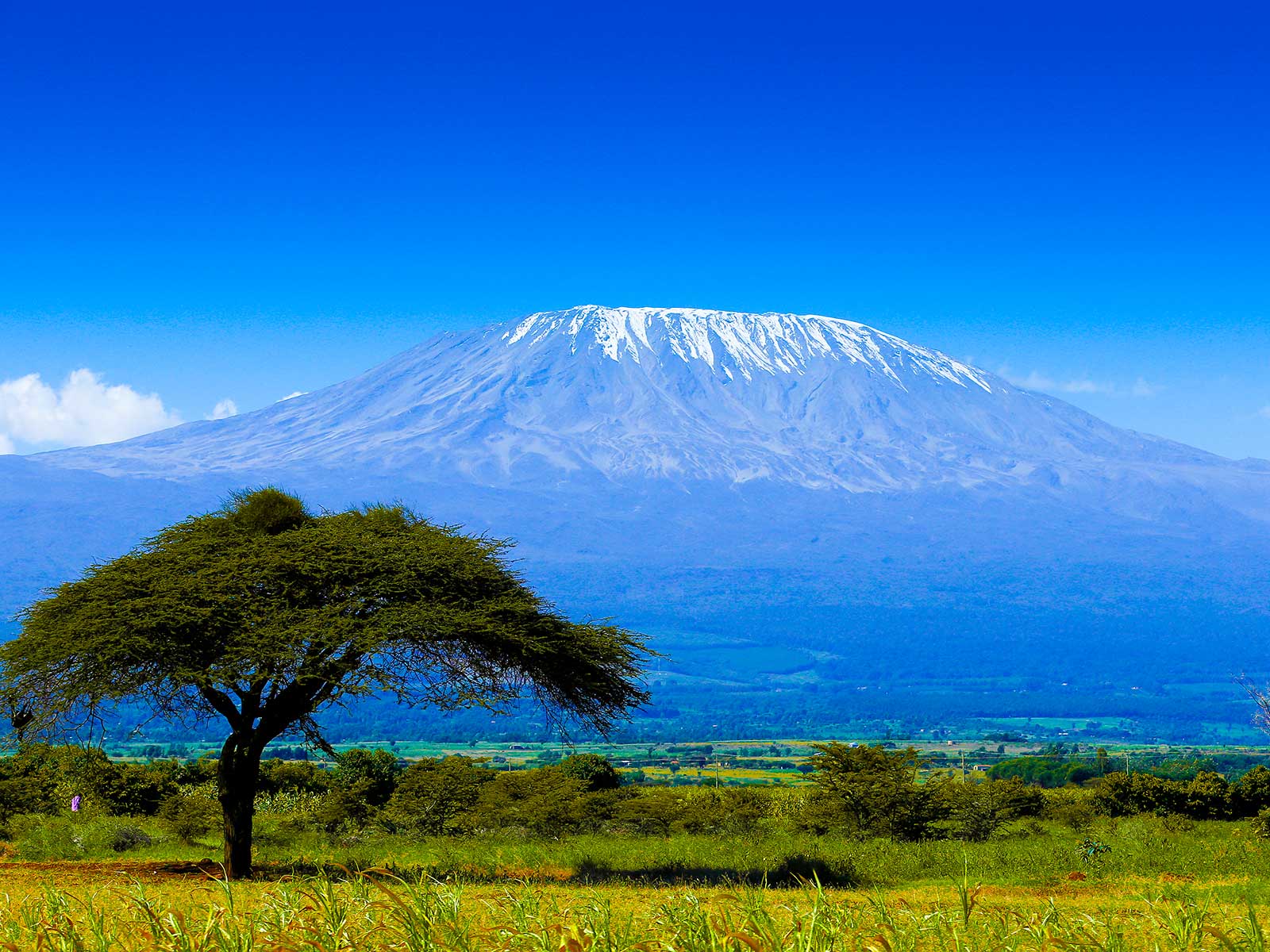 Mount Kilimanjaro