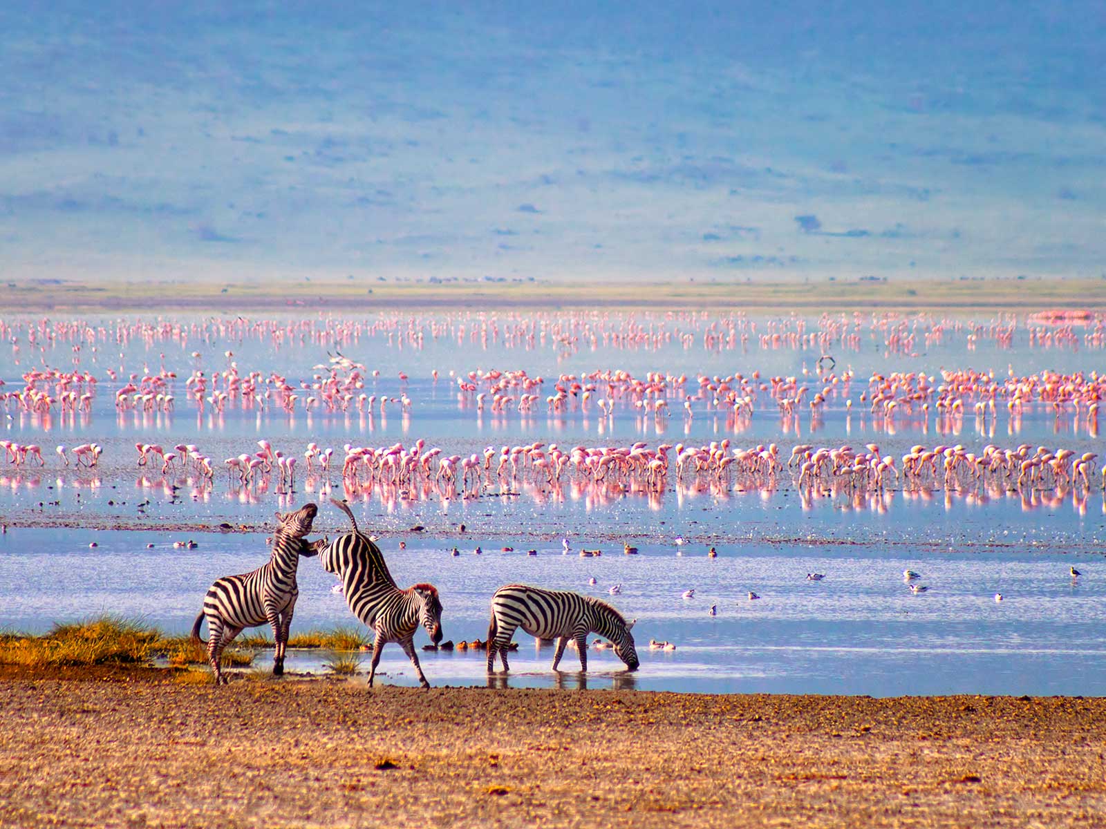 Ngorongoro Conservation Area 1