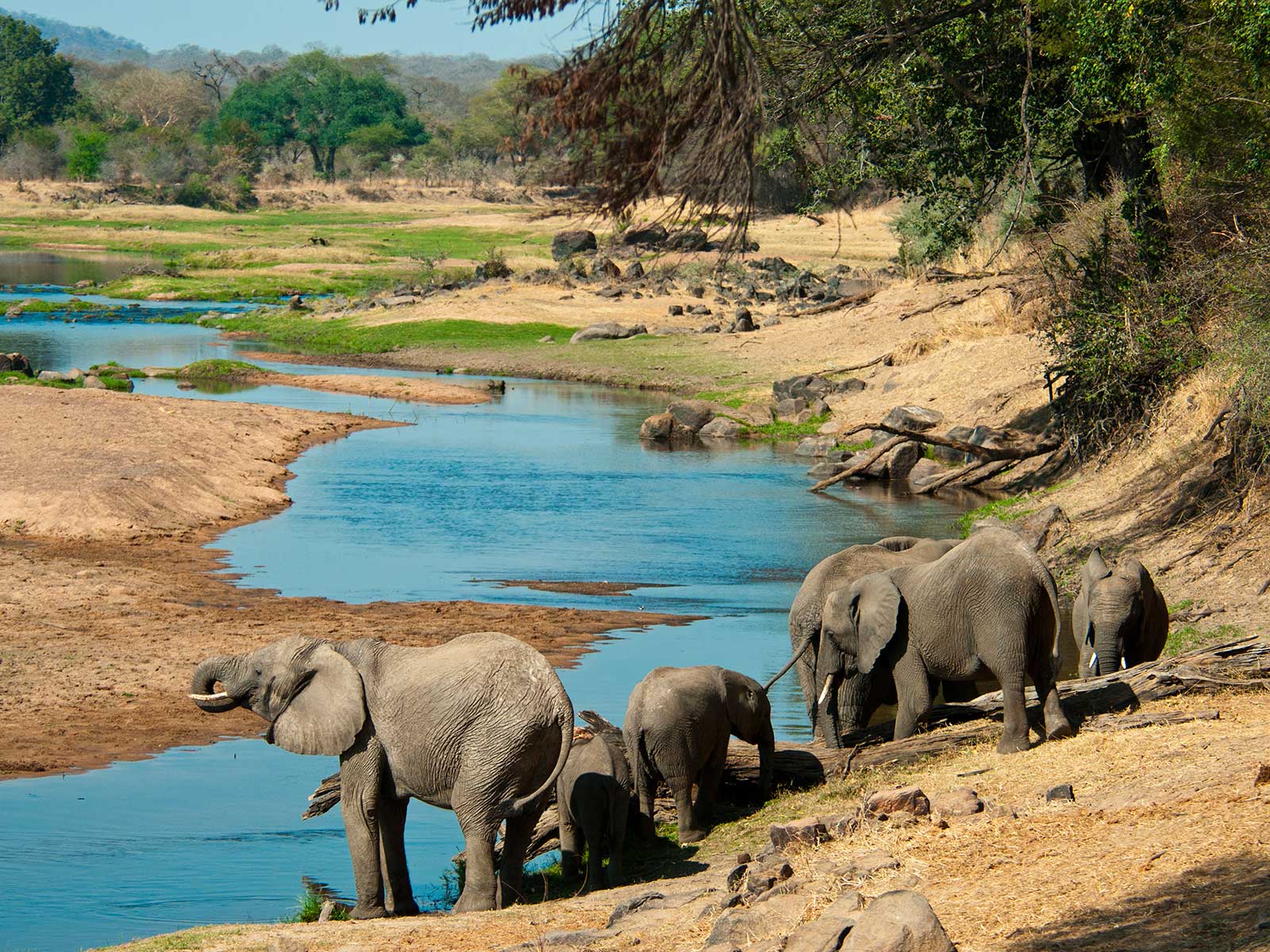 Ruaha Parque Nacional