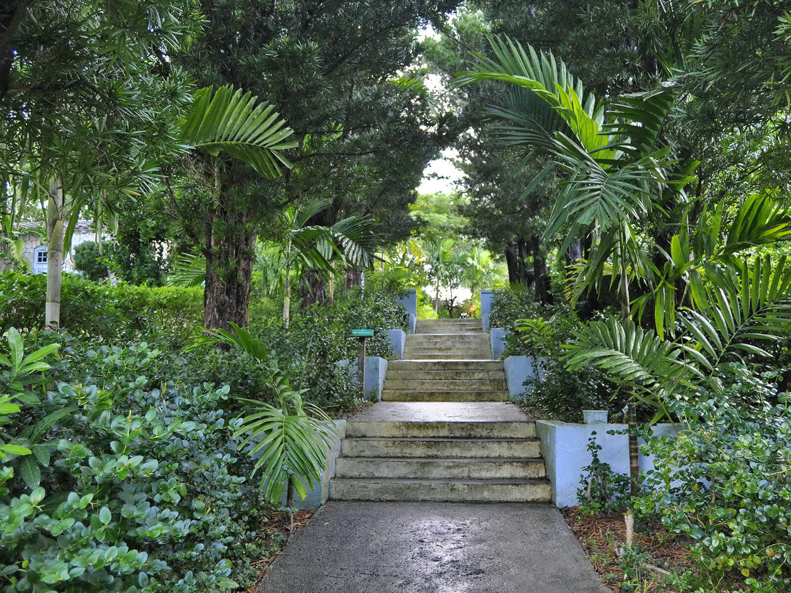 Jardín de los Bosquecillos 1