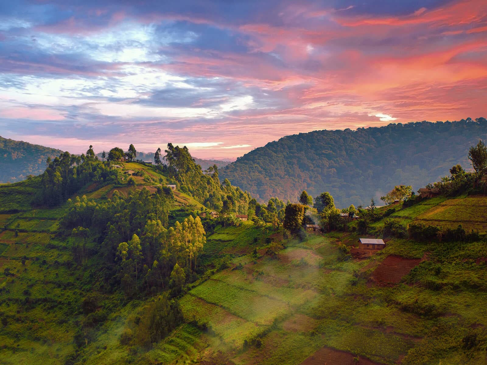 Bwindi Impenetrable Parque Nacional